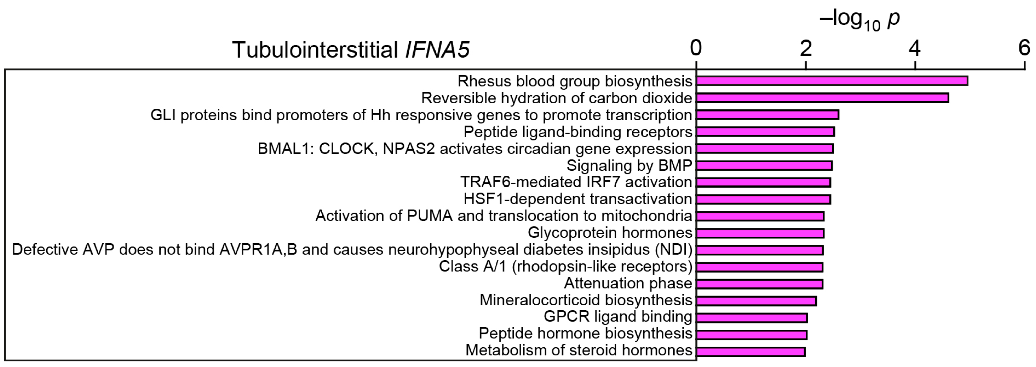 Ijms 24 10636 g003 Ijms 24 10636 g003