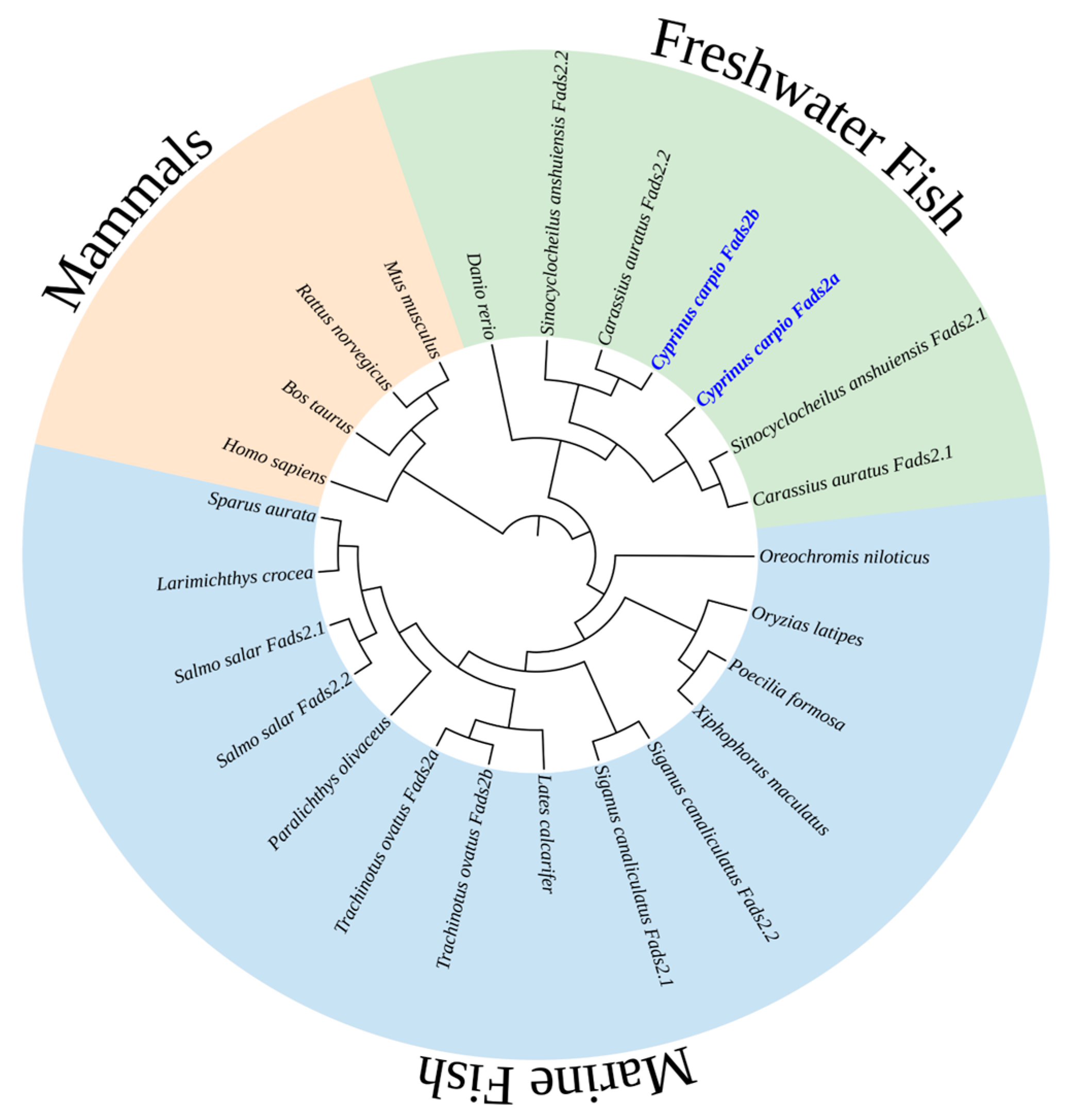 Ijms 24 10638 g002 Ijms 24 10638 g002