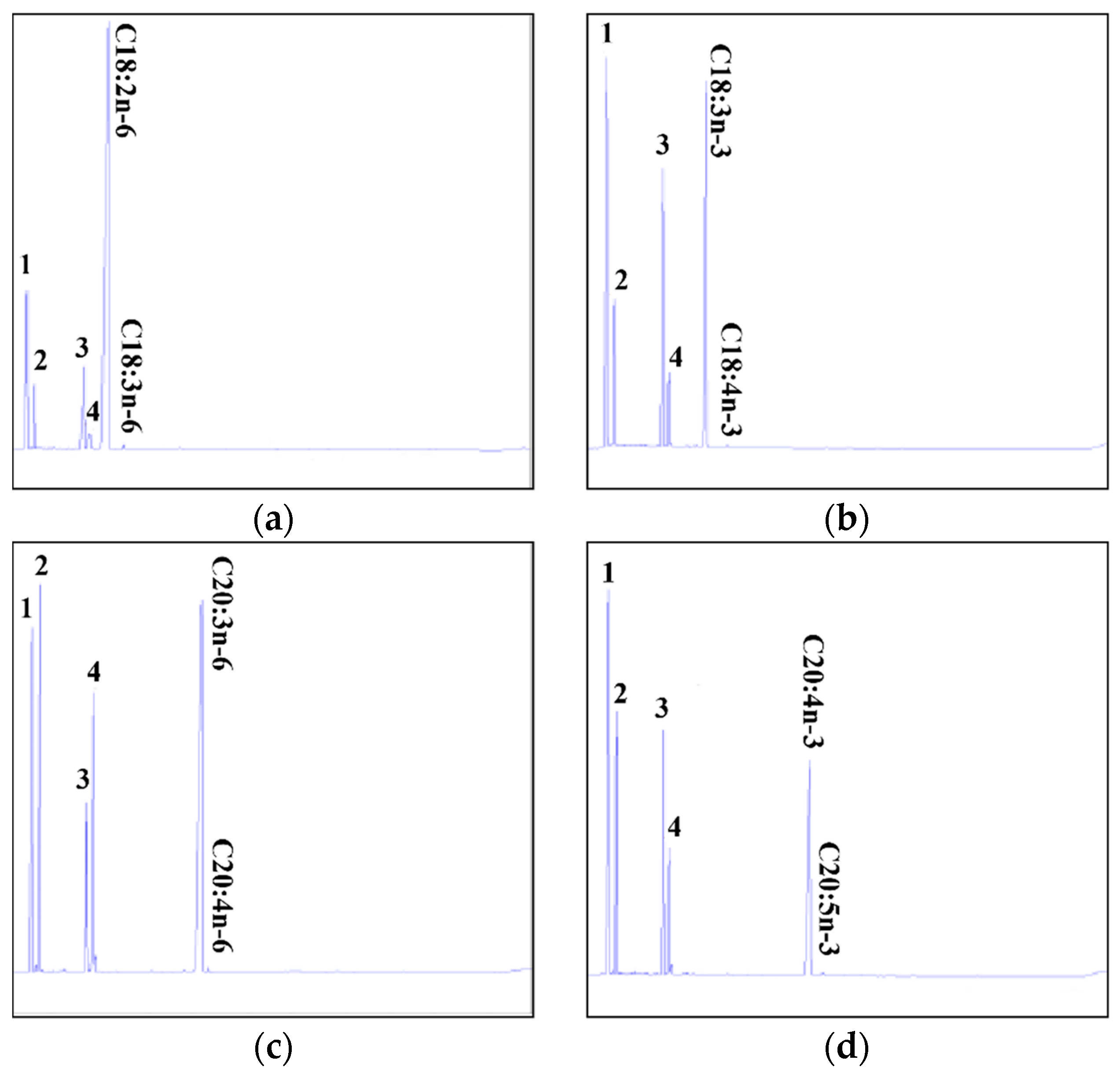Ijms 24 10638 g006 Ijms 24 10638 g006