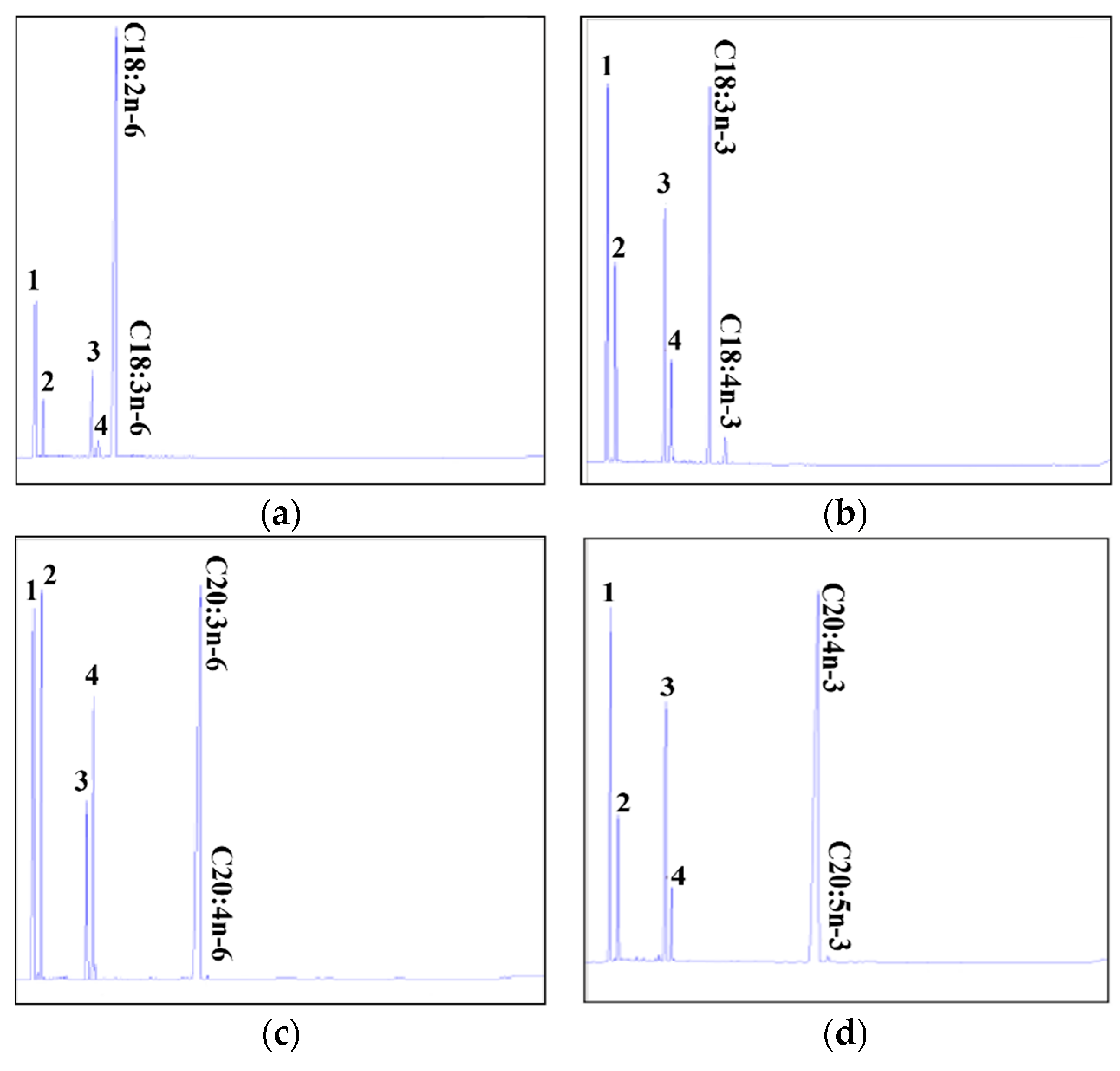 Ijms 24 10638 g007 Ijms 24 10638 g007