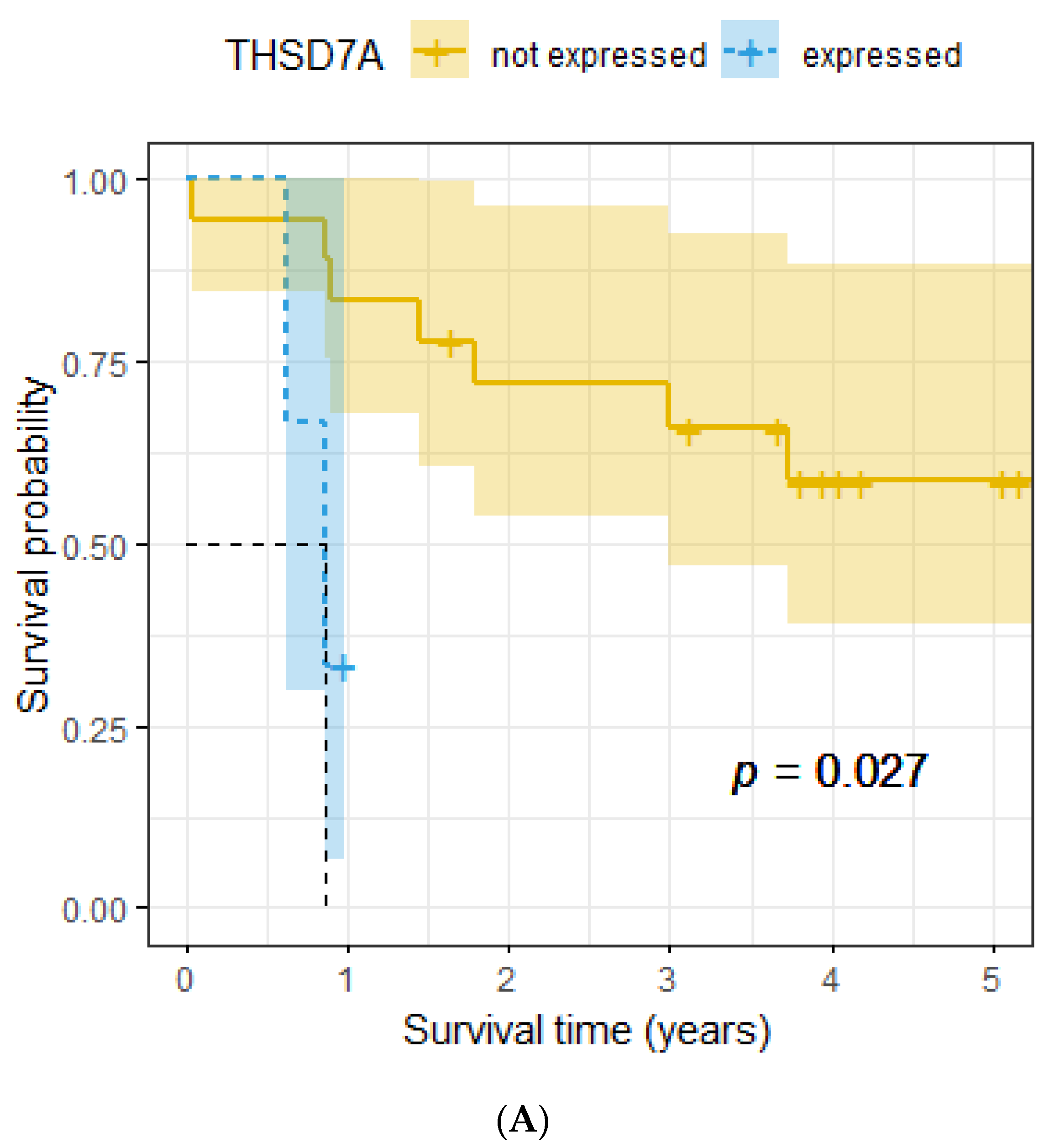 Ijms 24 10639 g002a Ijms 24 10639 g002a