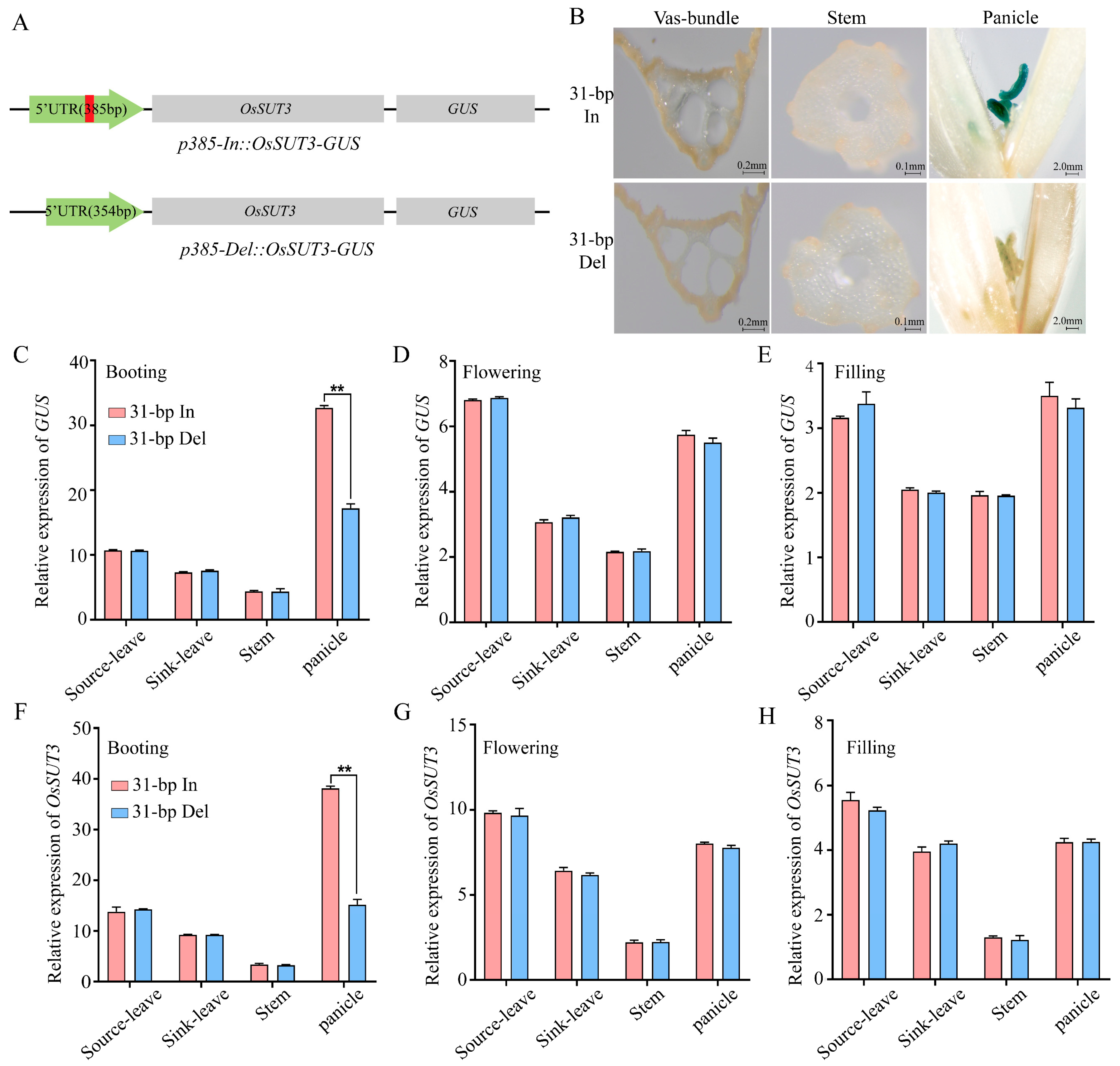 Ijms 24 10640 g002 Ijms 24 10640 g002