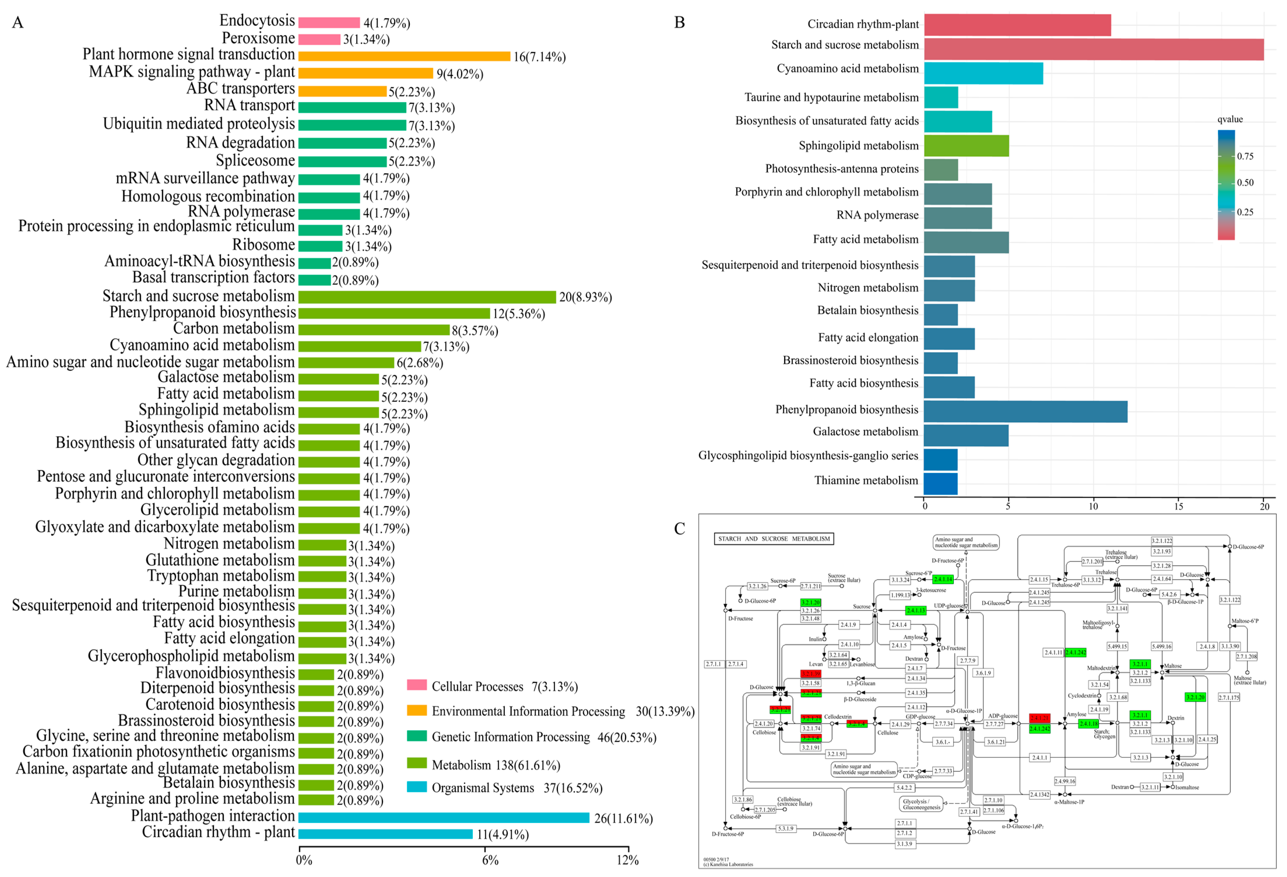 Ijms 24 10640 g005 Ijms 24 10640 g005