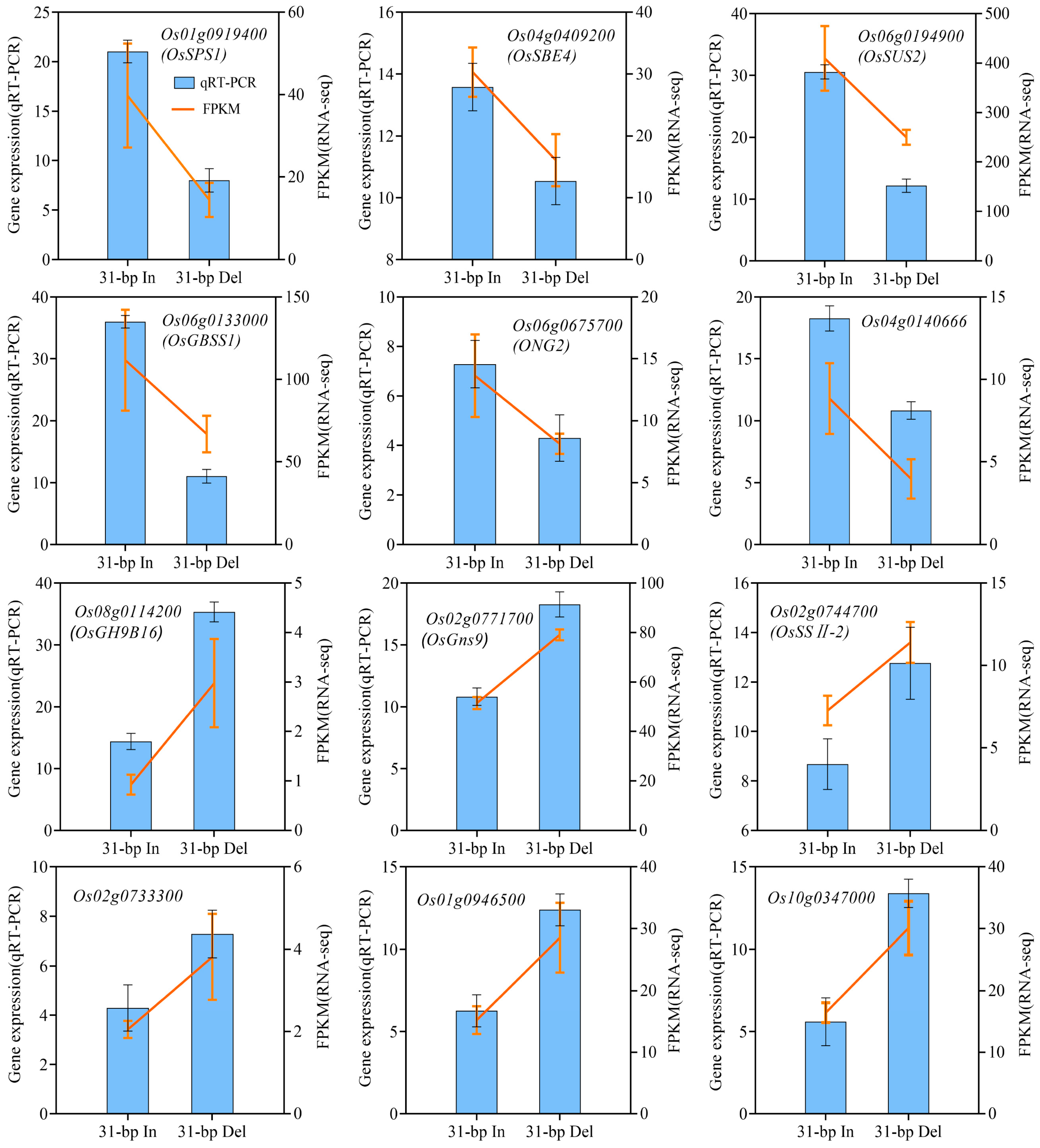 Ijms 24 10640 g006 Ijms 24 10640 g006
