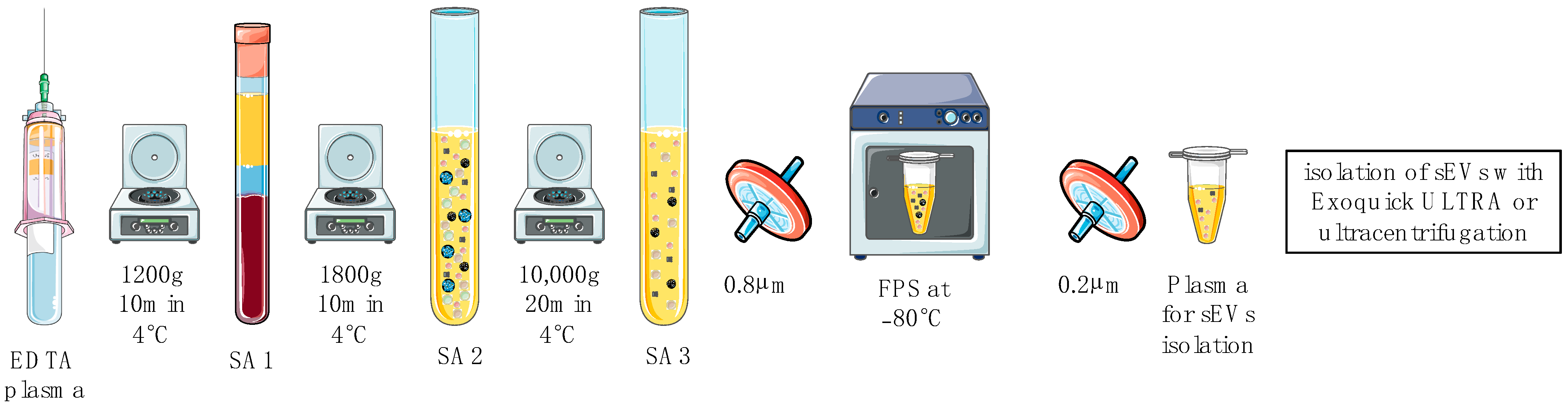 Ijms 24 10647 g007 Ijms 24 10647 g007