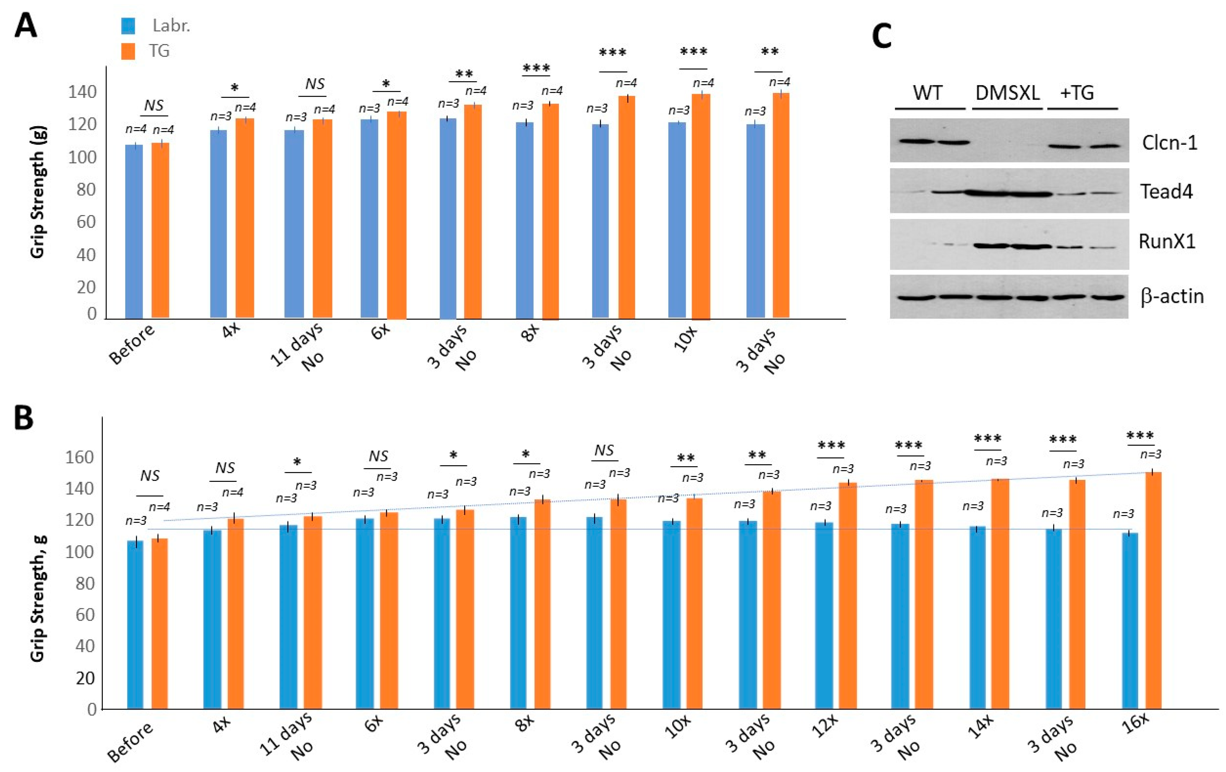 Ijms 24 10650 g003 Ijms 24 10650 g003