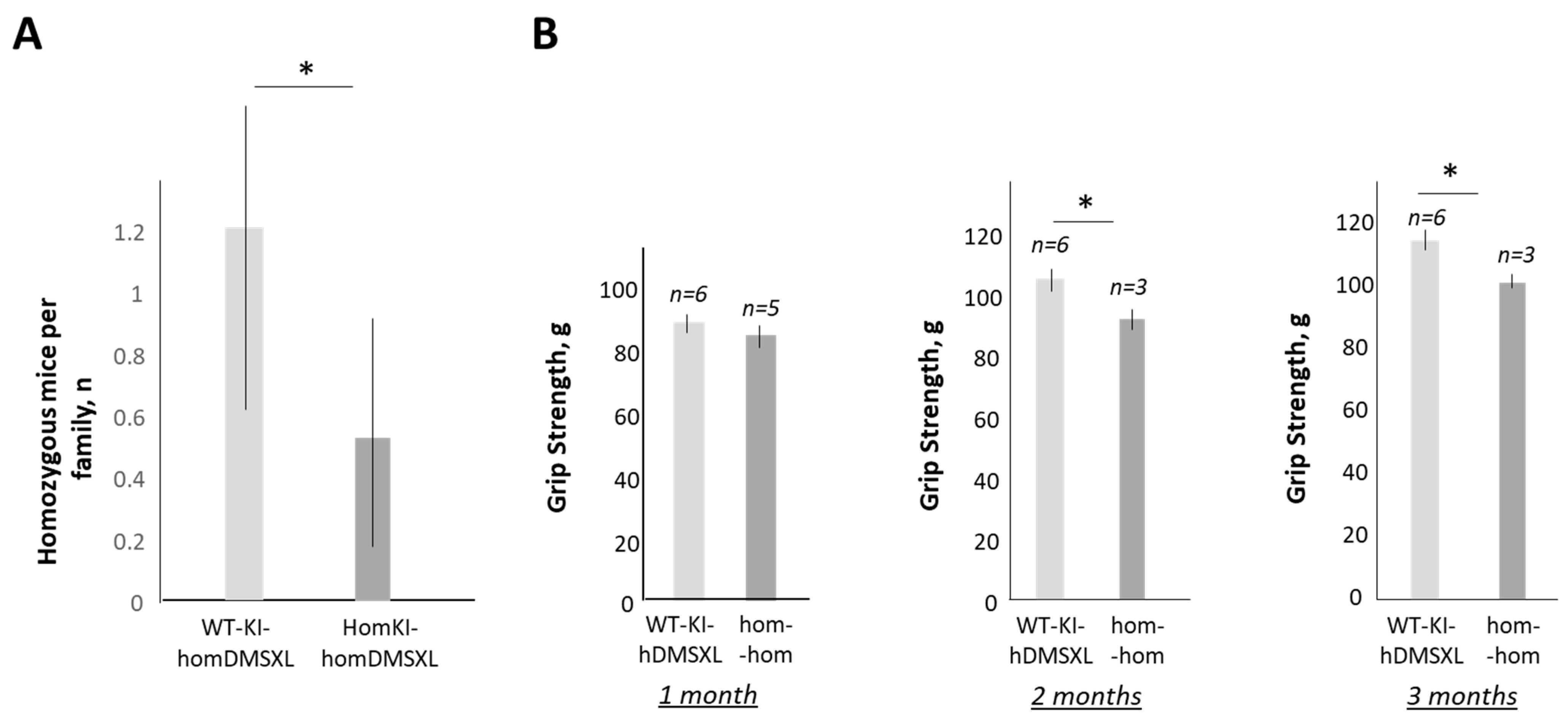 Ijms 24 10650 g007 Ijms 24 10650 g007