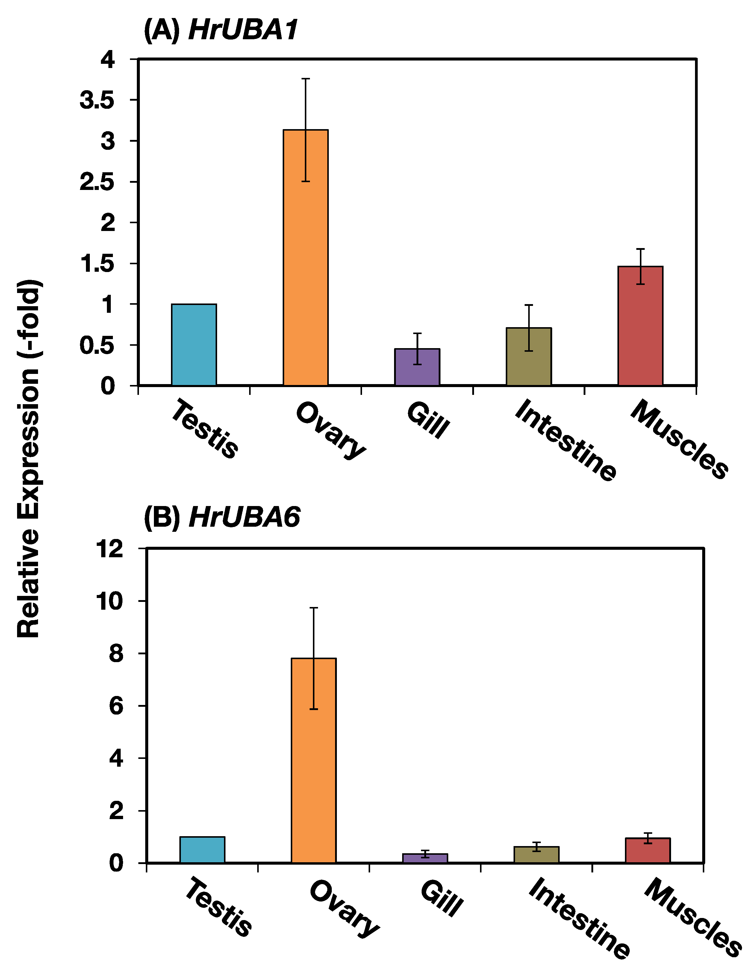 Ijms 24 10662 g004 Ijms 24 10662 g004