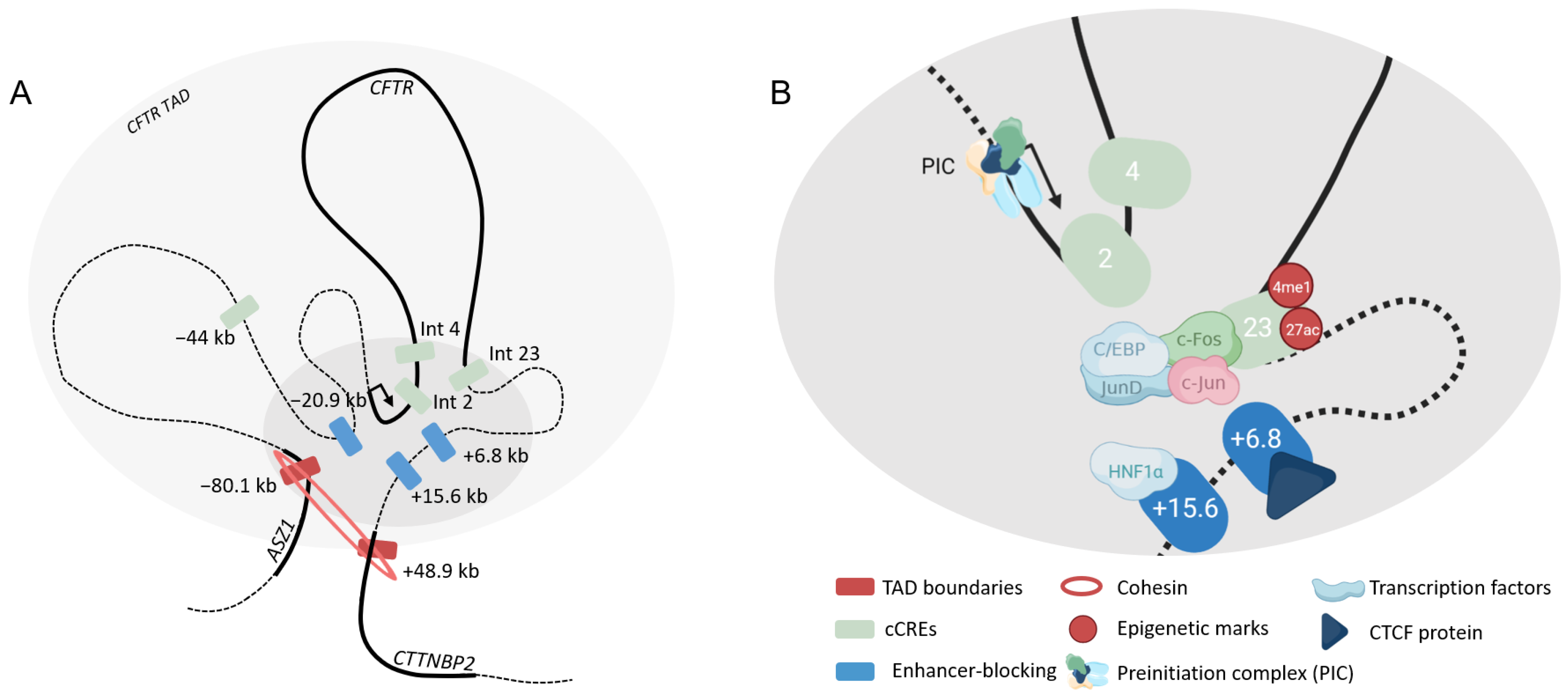 Ijms 24 10678 g006 Ijms 24 10678 g006