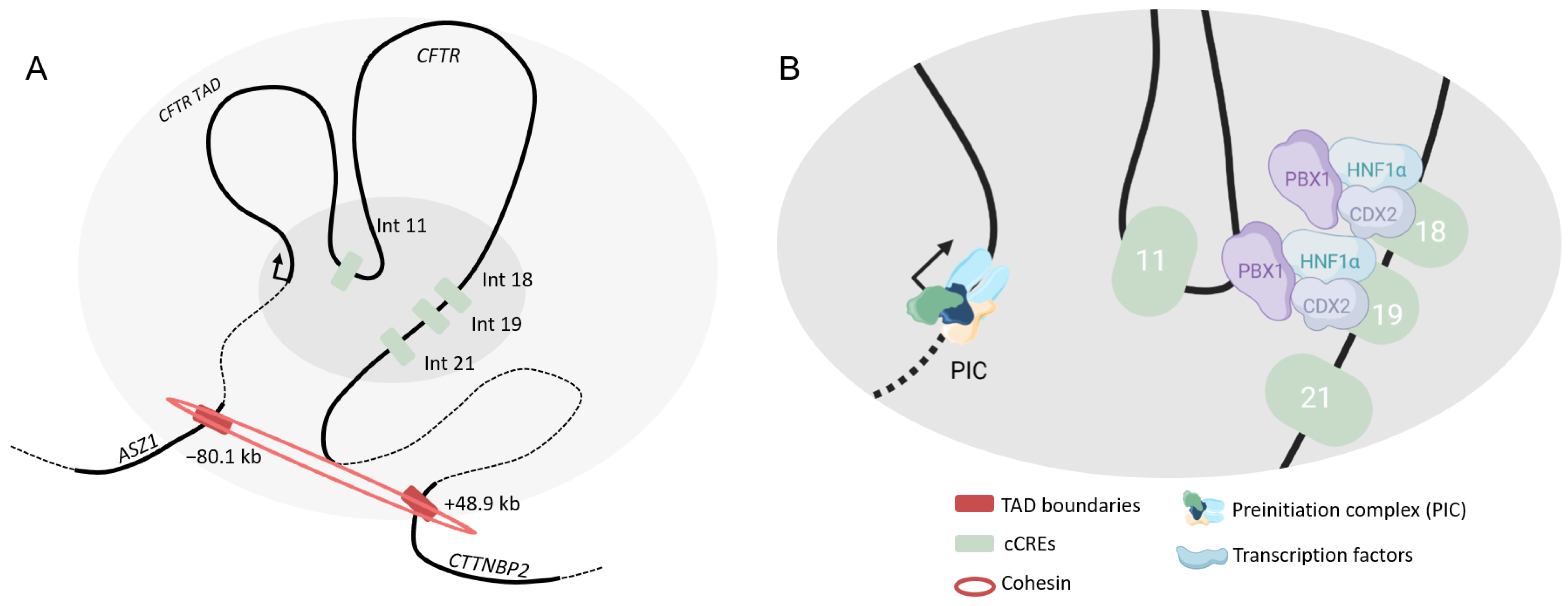 Ijms 24 10678 g007 Ijms 24 10678 g007