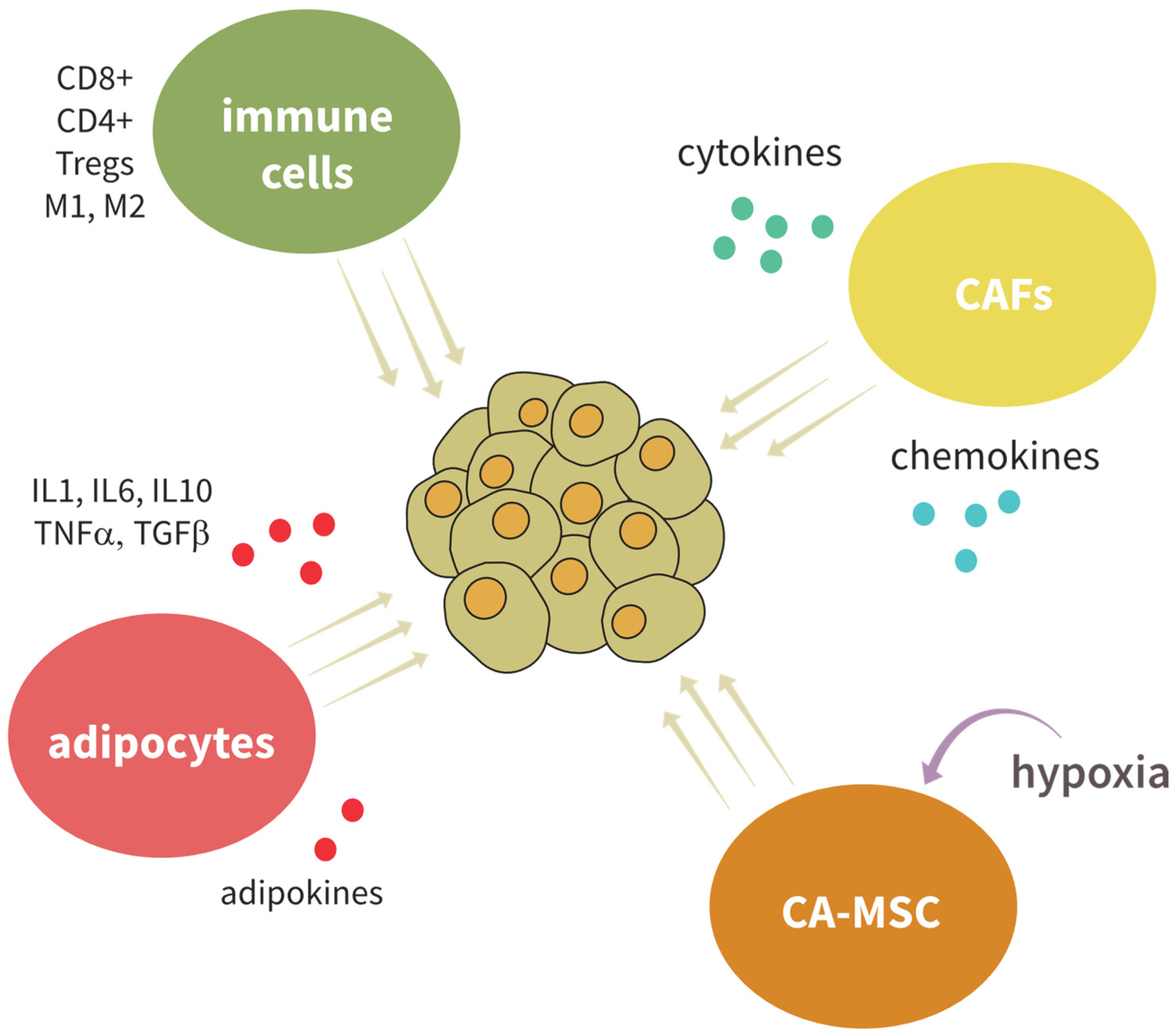 Ijms 24 10683 g002 Ijms 24 10683 g002