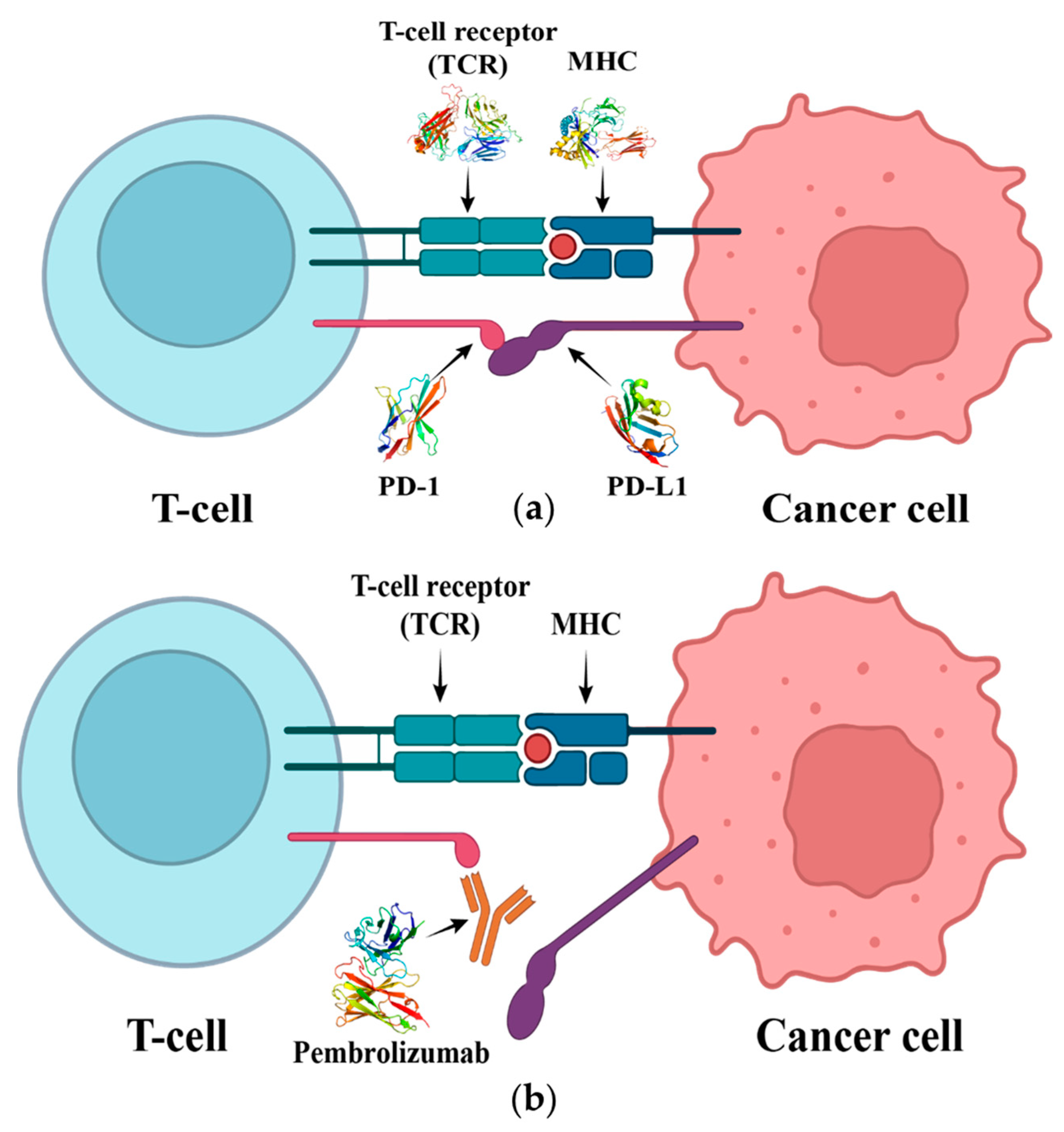 Investigation of Molecular Interactions Mechanism of Pembrolizumab and PD1 Investigation of Molecular Interactions Mechanism of Pembrolizumab and PD1