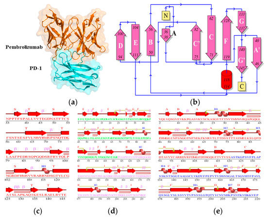 Investigation of Molecular Interactions Mechanism of Pembrolizumab and PD-1