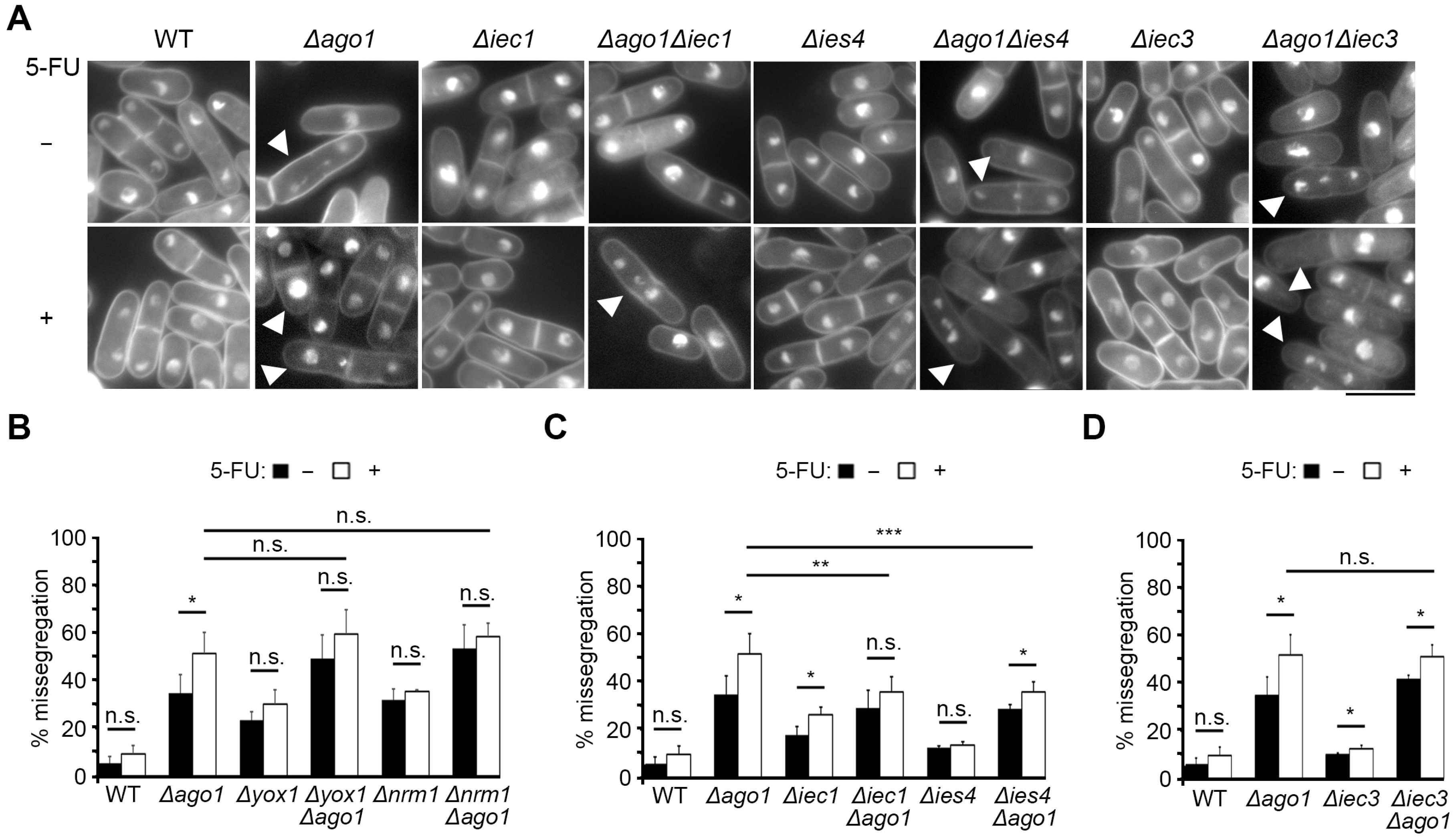 Ijms 24 10687 g004 Ijms 24 10687 g004