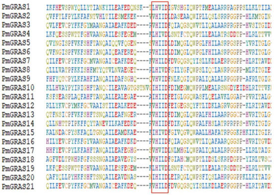Transcriptome-Wide Identification of the GRAS Transcription Factor