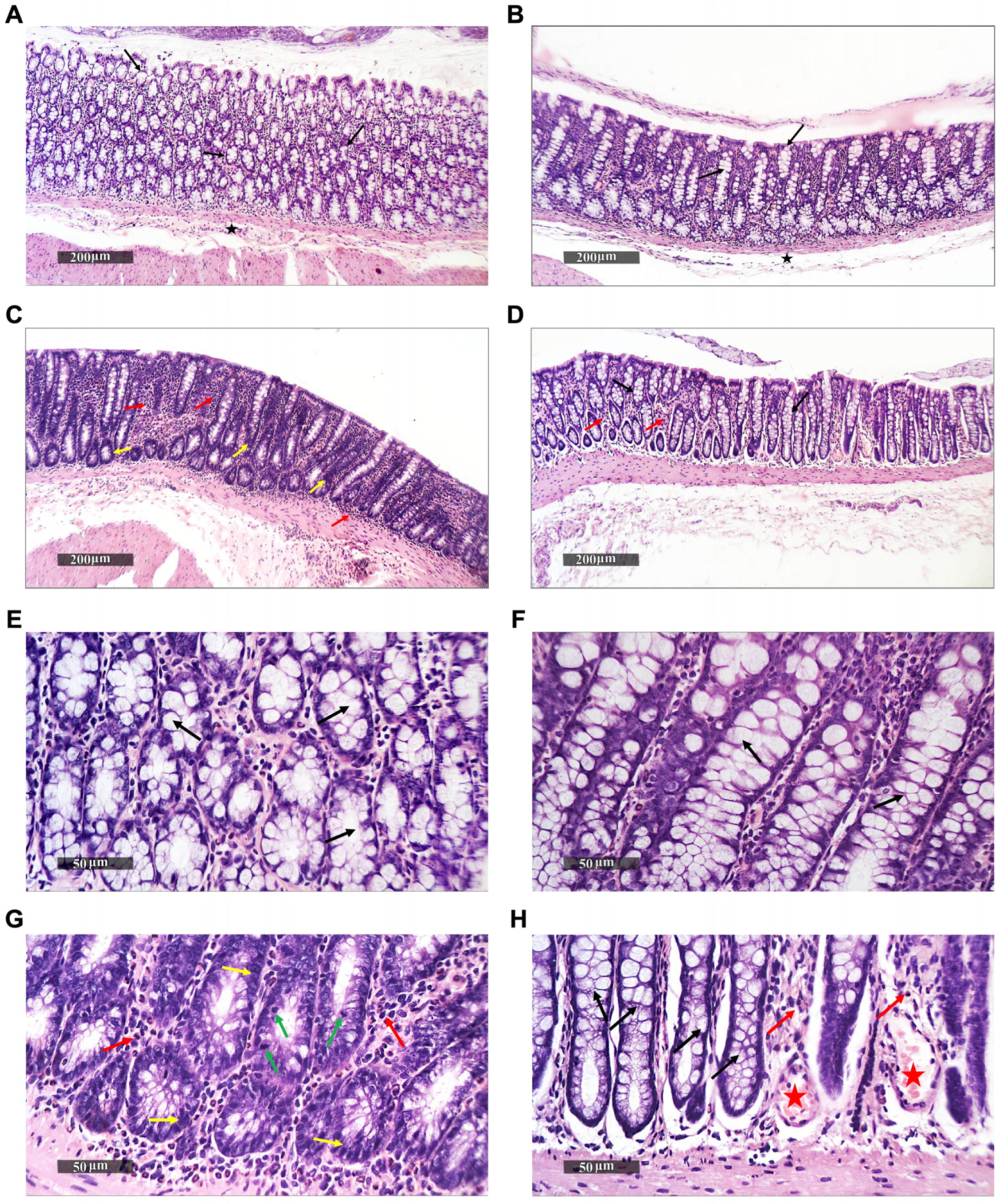 https://www.mdpi.com/ijms/ijms-24-10691/article_deploy/html/images/ijms-24-10691-g001.png