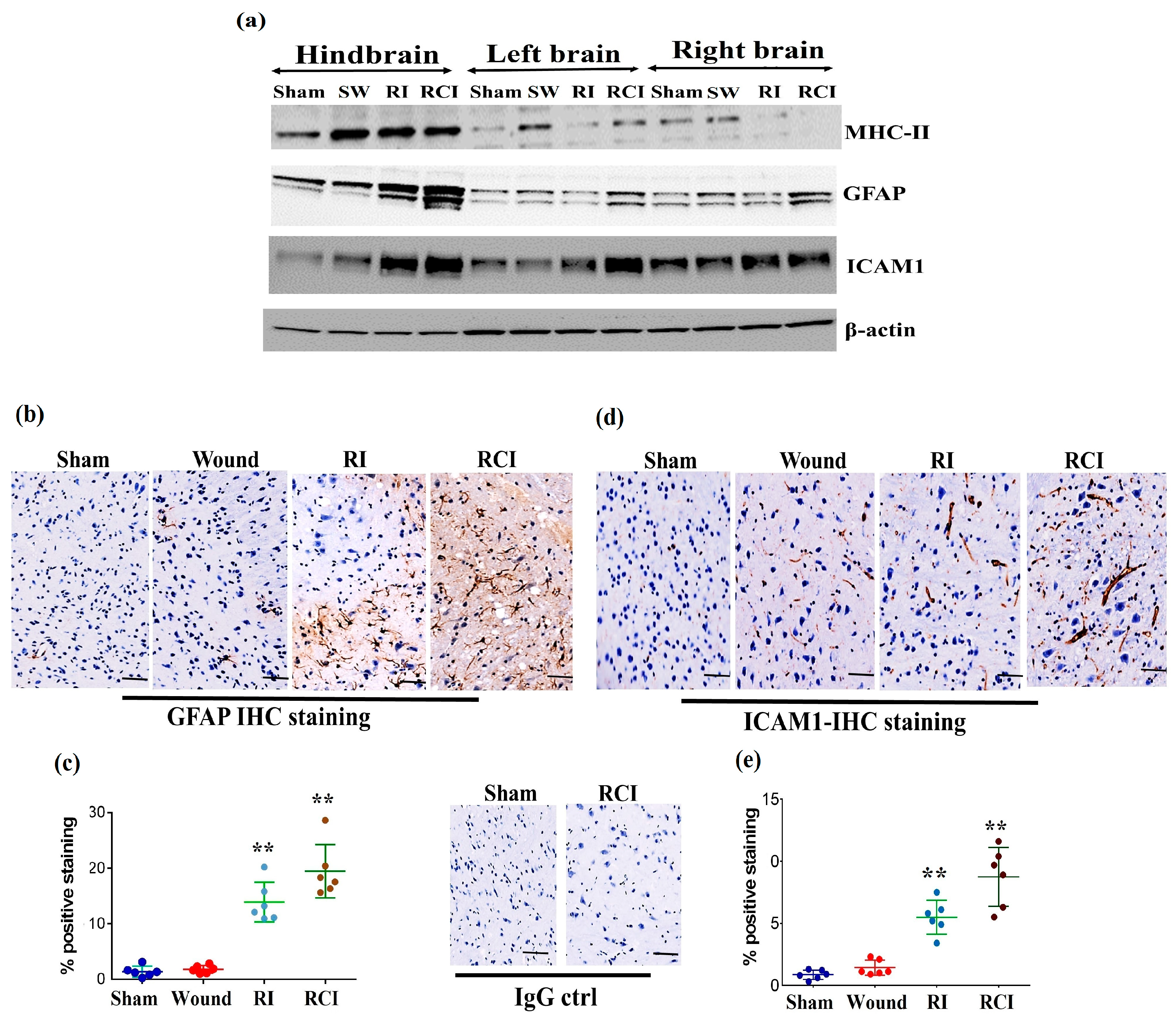 Ijms 24 10701 g004 Ijms 24 10701 g004