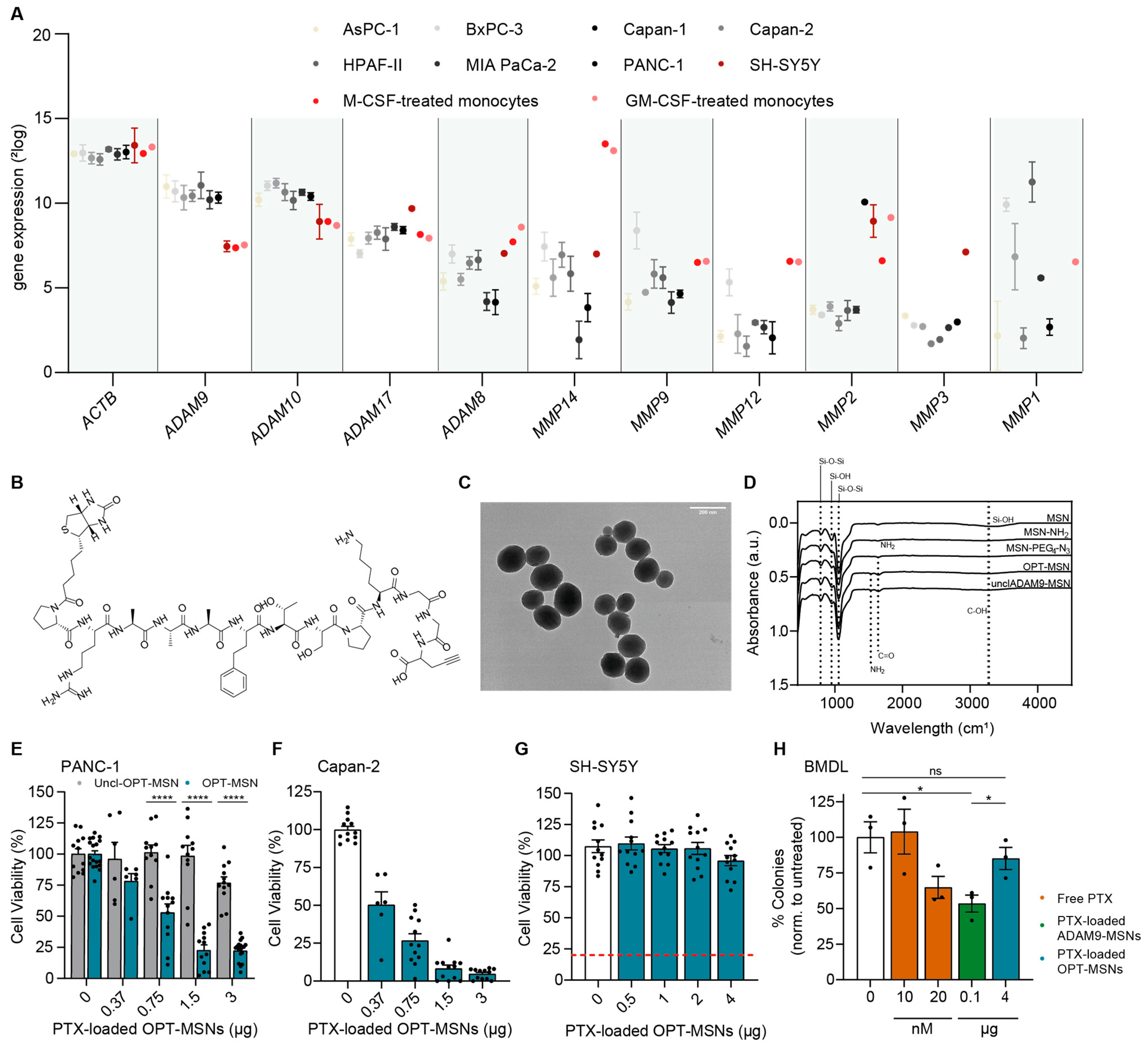 Ijms 24 10704 g002 Ijms 24 10704 g002