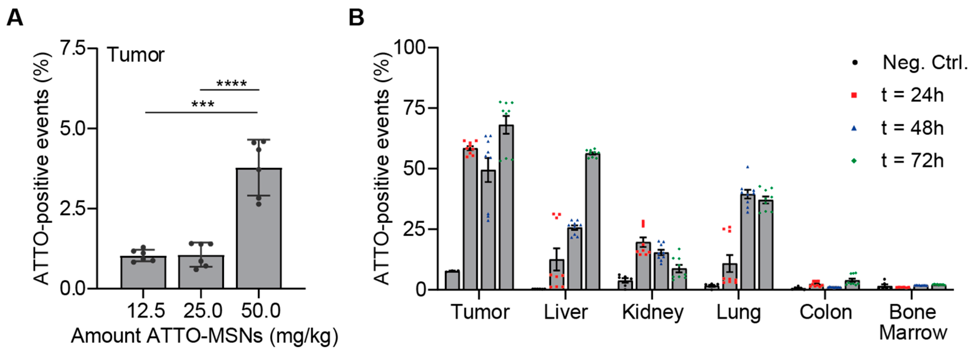 Ijms 24 10704 g003 Ijms 24 10704 g003