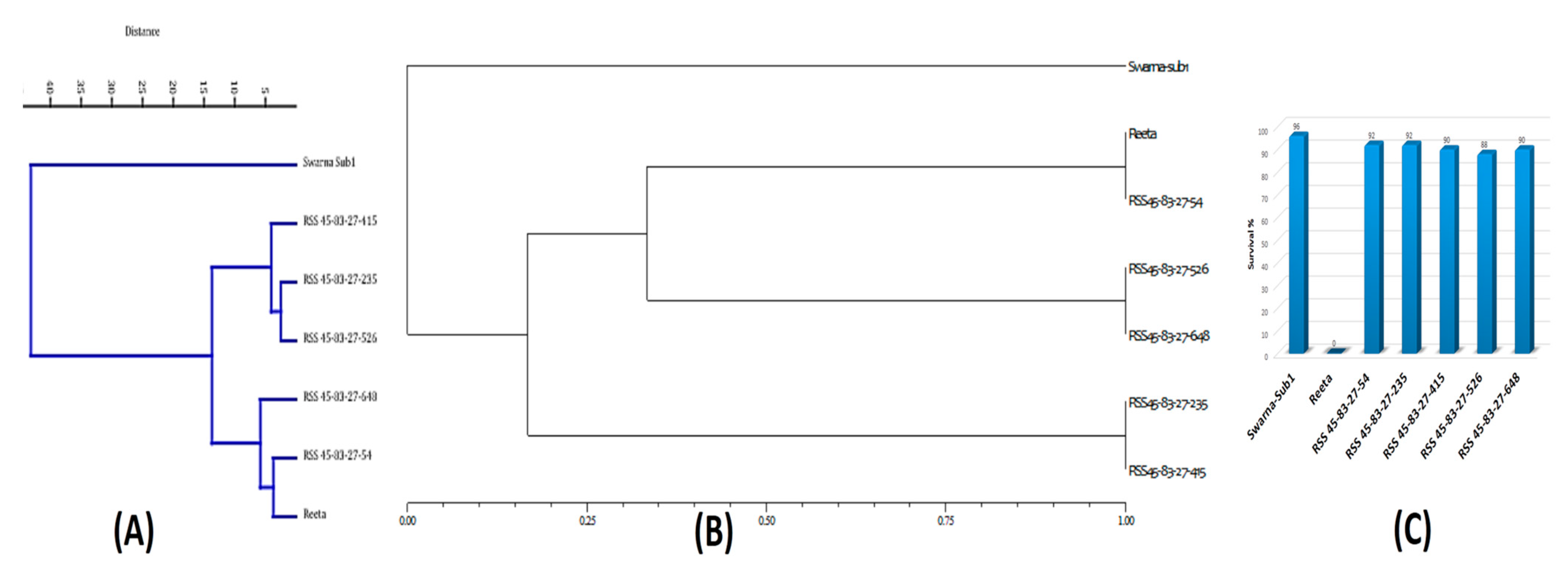 Ijms 24 10708 g005 Ijms 24 10708 g005