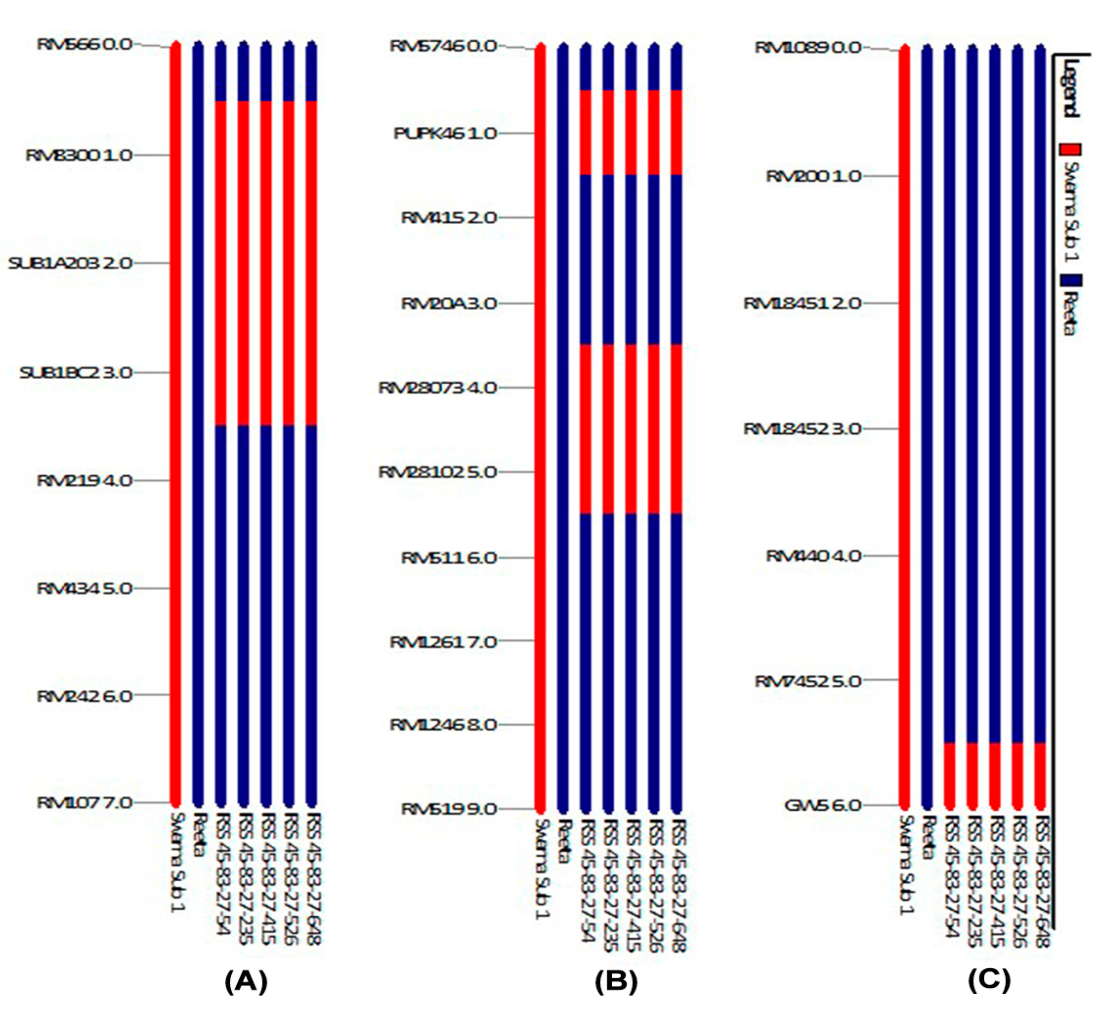 Ijms 24 10708 g006 Ijms 24 10708 g006