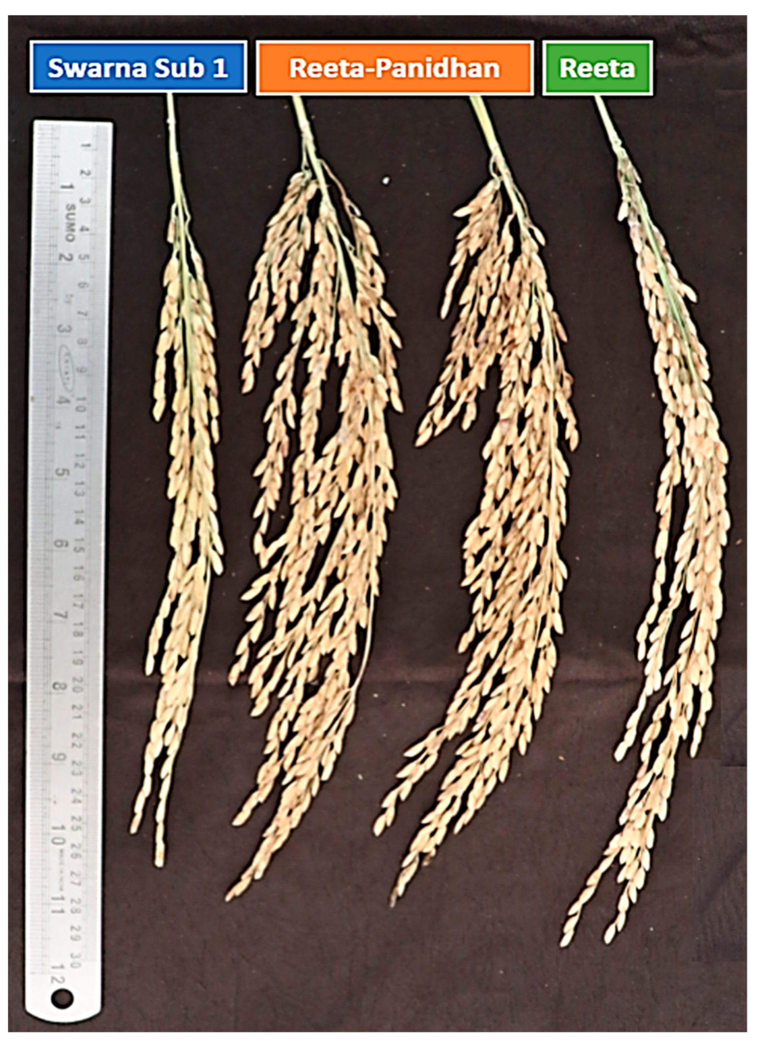 Ijms 24 10708 g008 Ijms 24 10708 g008