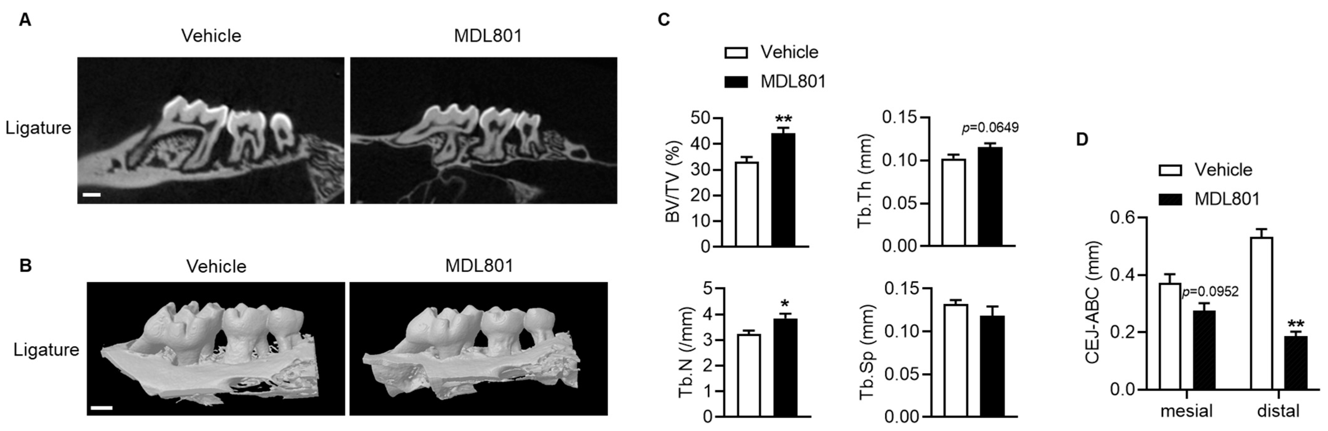 Ijms 24 10714 g005 Ijms 24 10714 g005