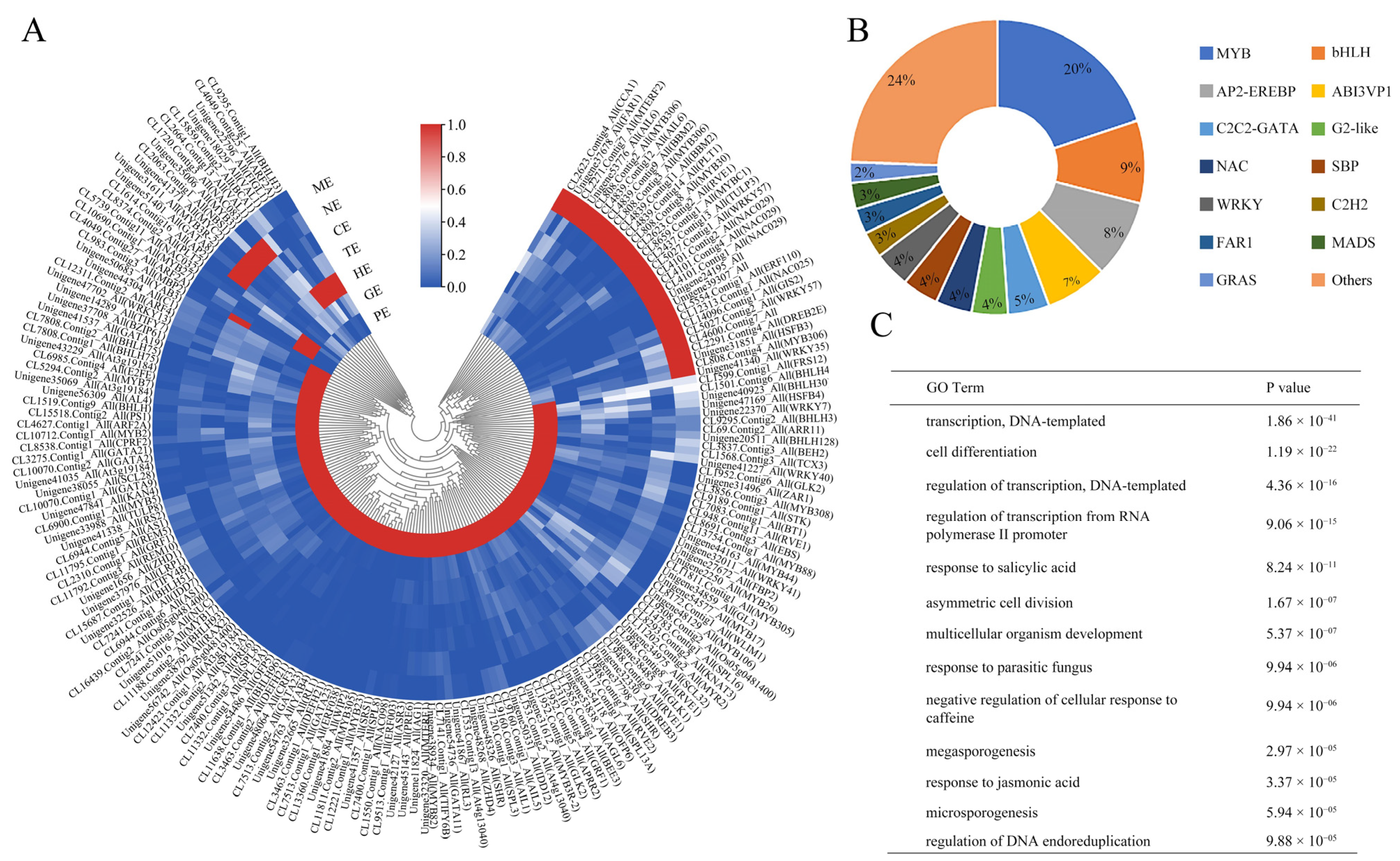 Ijms 24 10715 g004 Ijms 24 10715 g004