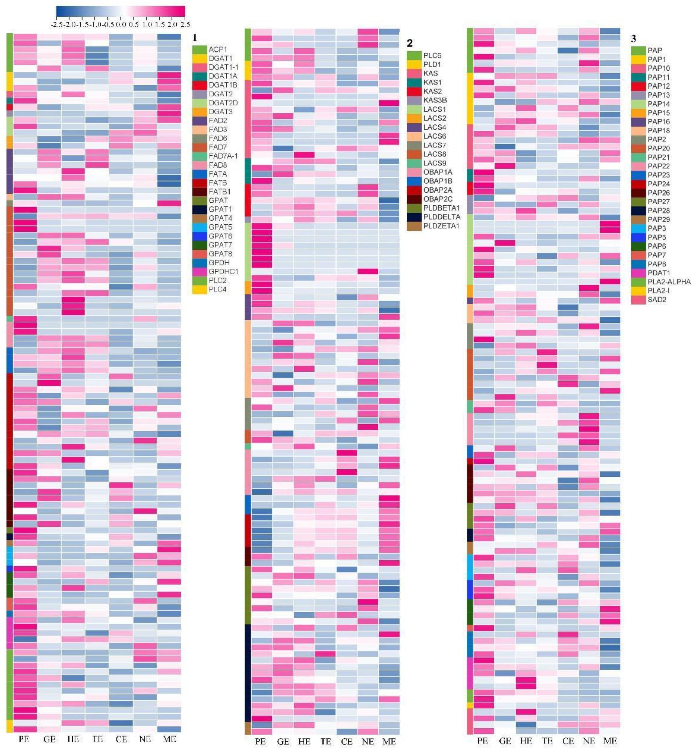 Ijms 24 10715 g008 Ijms 24 10715 g008