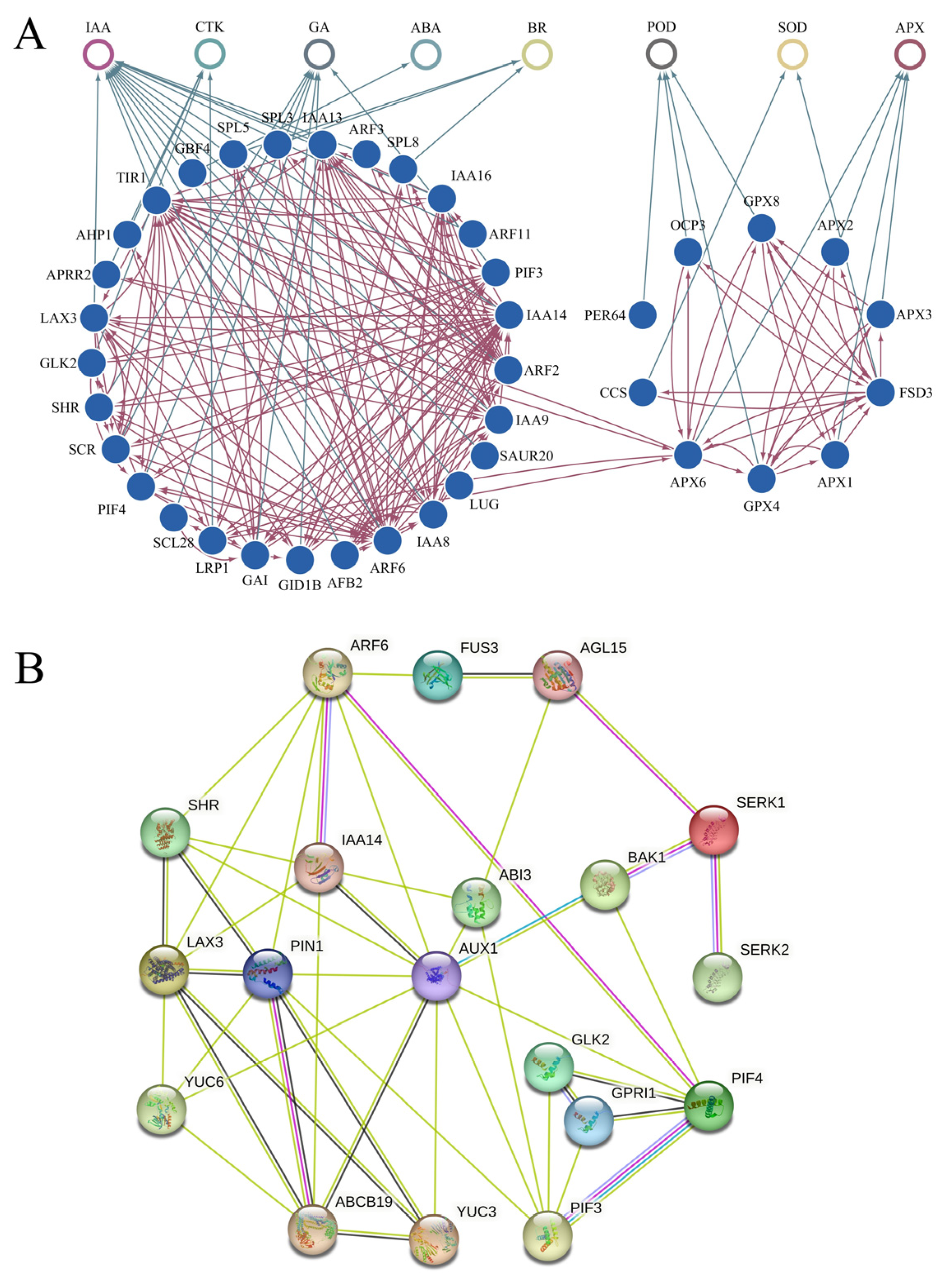 Ijms 24 10715 g009 Ijms 24 10715 g009