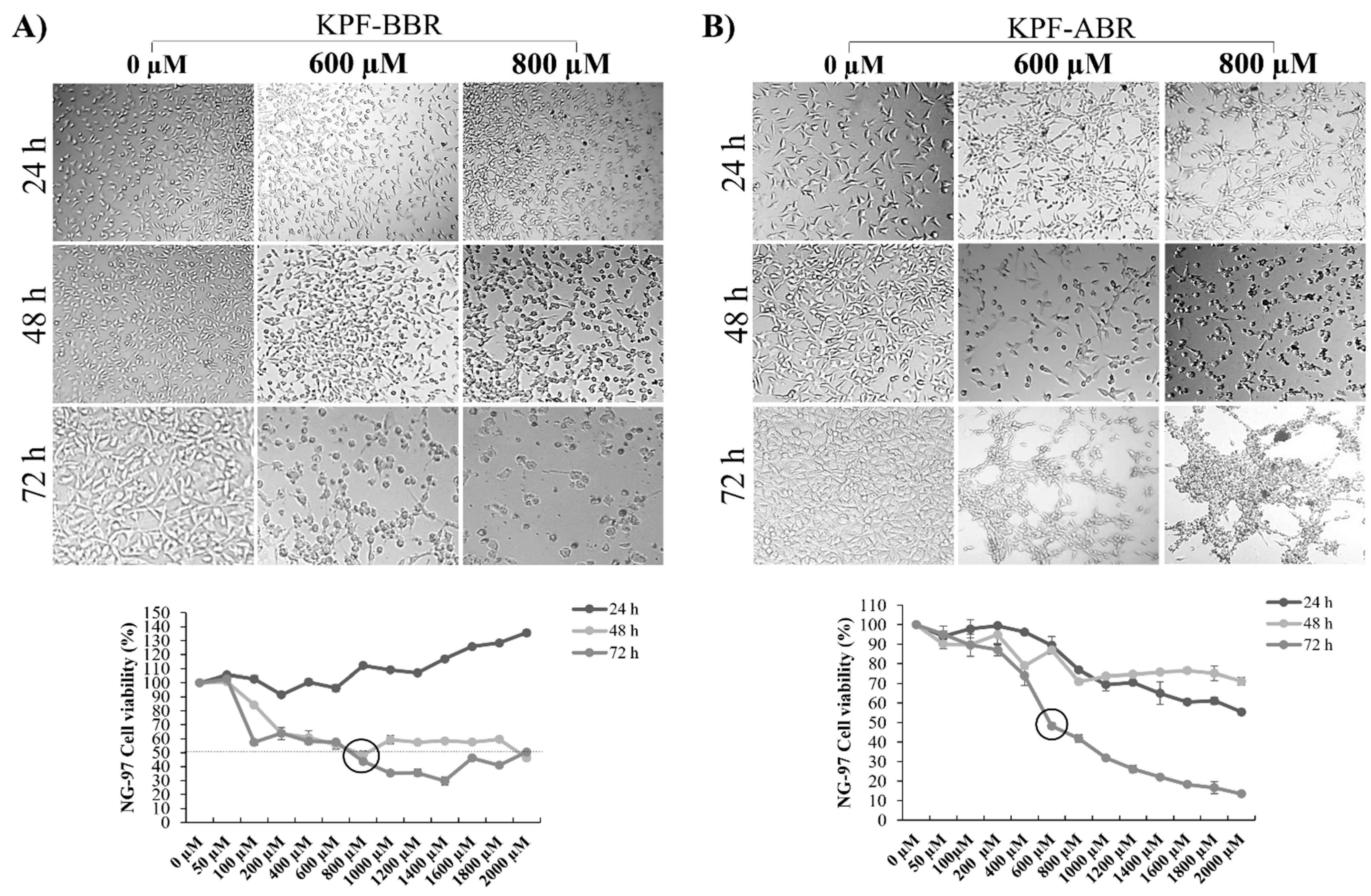 Ijms 24 10716 g003 Ijms 24 10716 g003