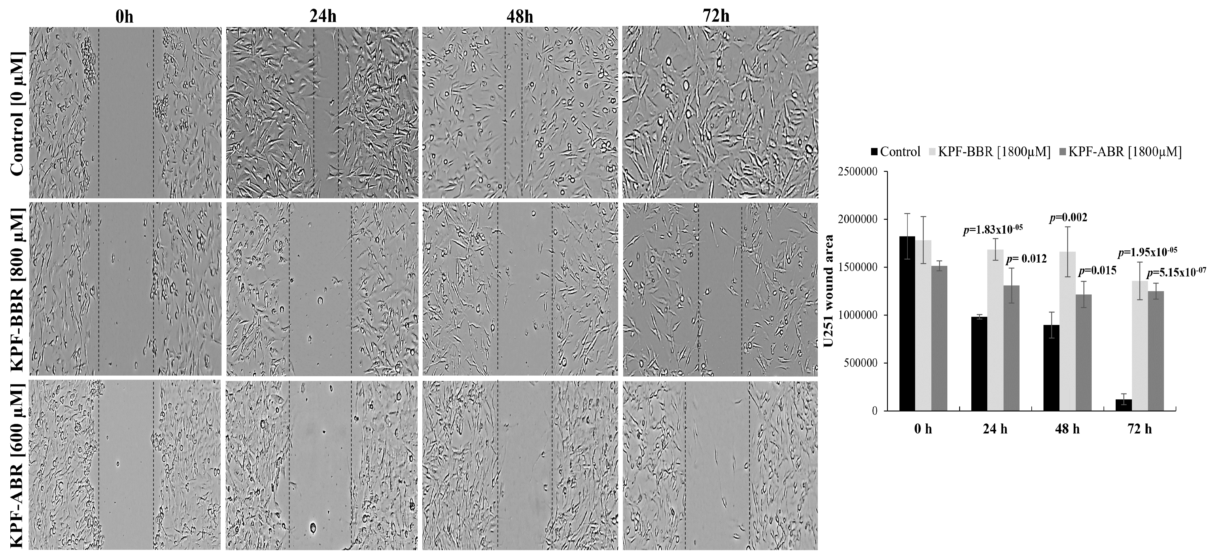 Ijms 24 10716 g007 Ijms 24 10716 g007