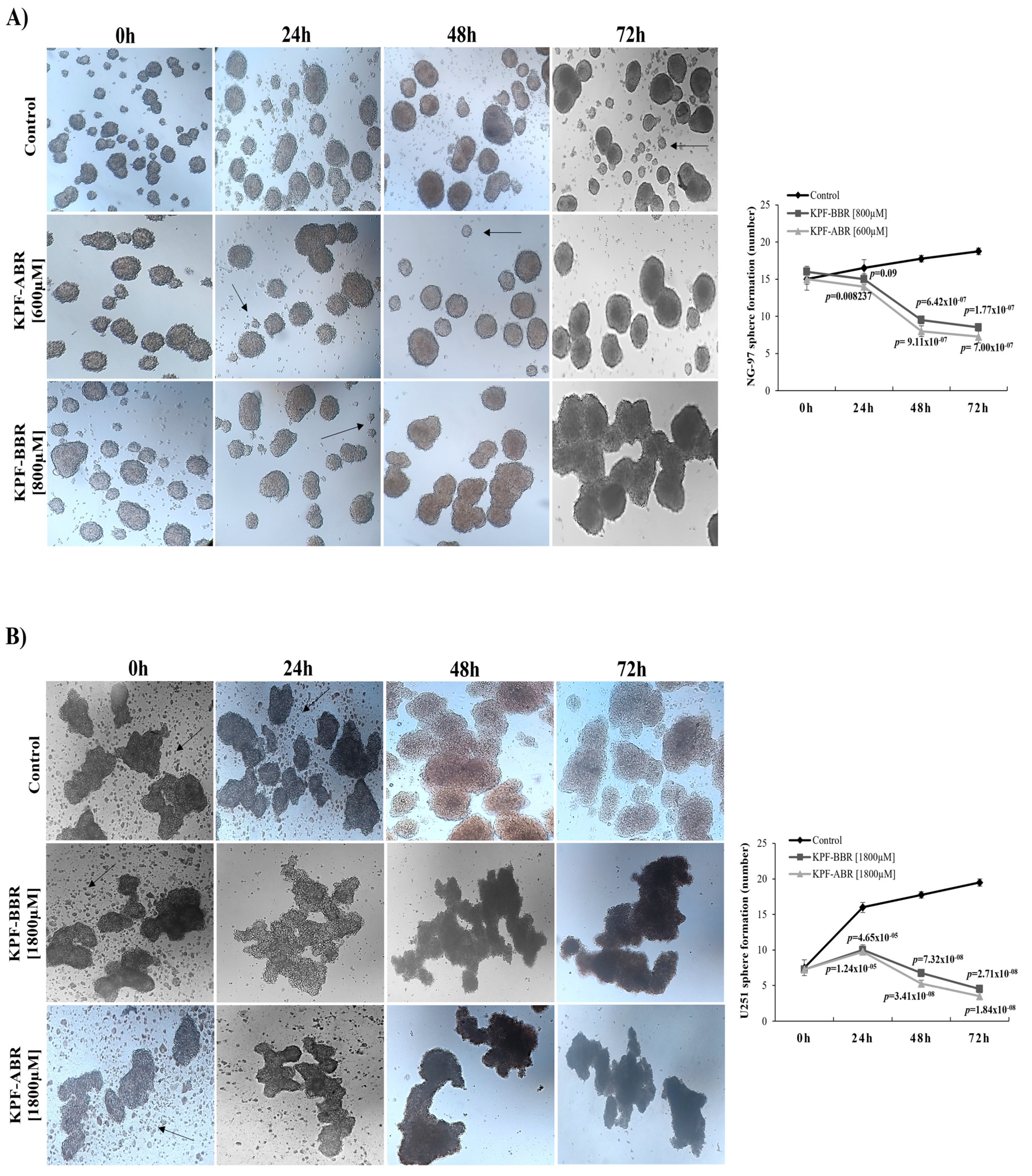 Ijms 24 10716 g008 Ijms 24 10716 g008