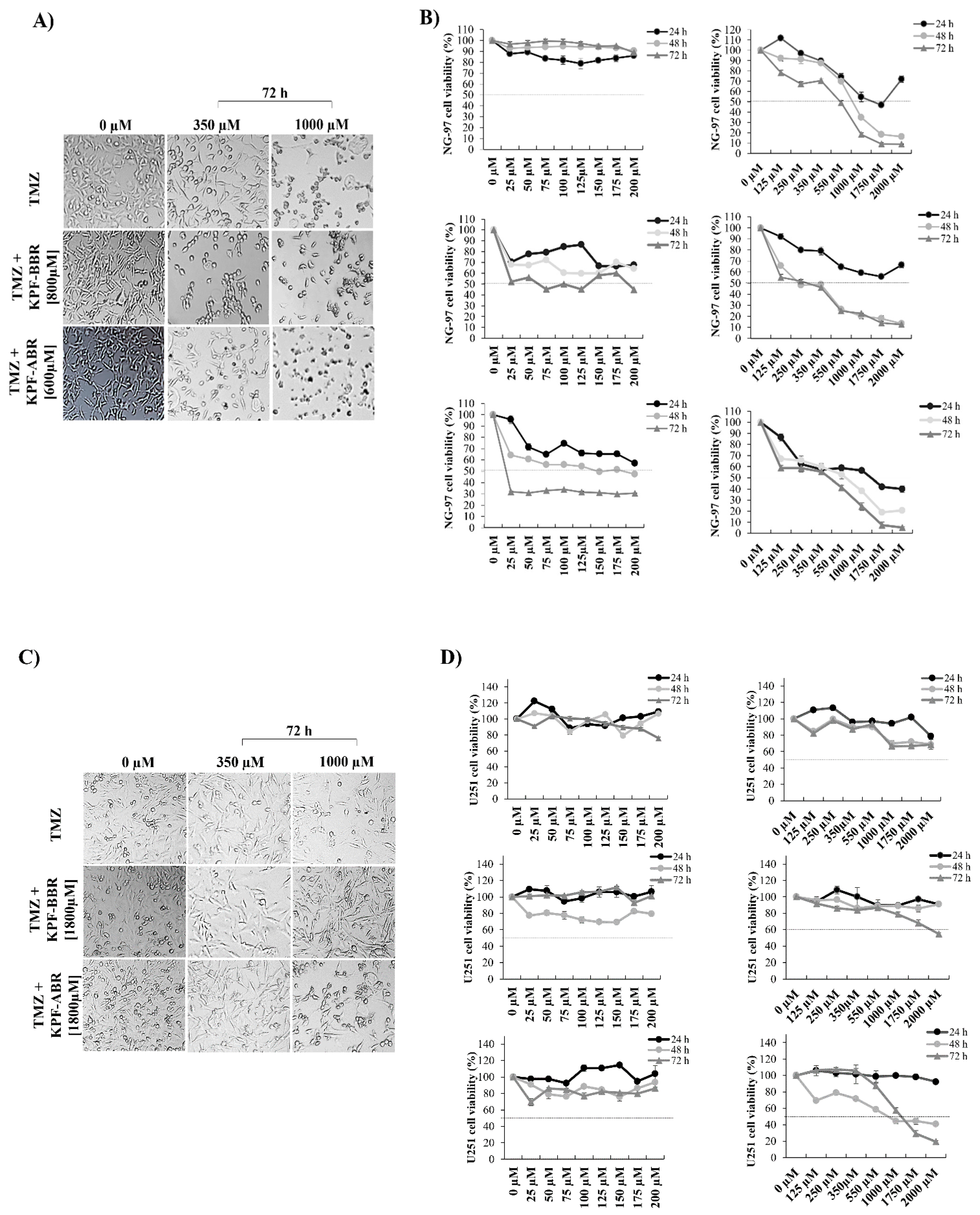 Ijms 24 10716 g010 Ijms 24 10716 g010