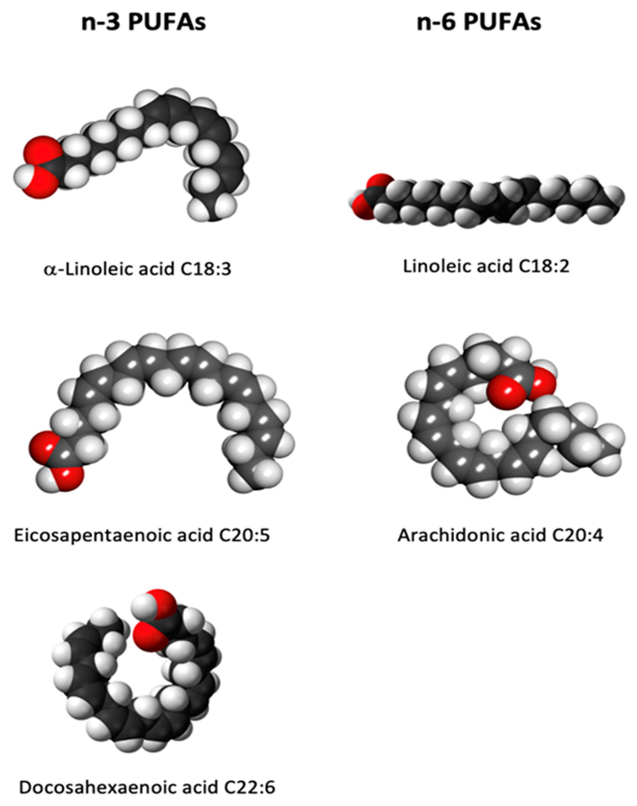 IJMS Free FullText DHA/EPA (Omega3) and LA/GLA (Omega6) as