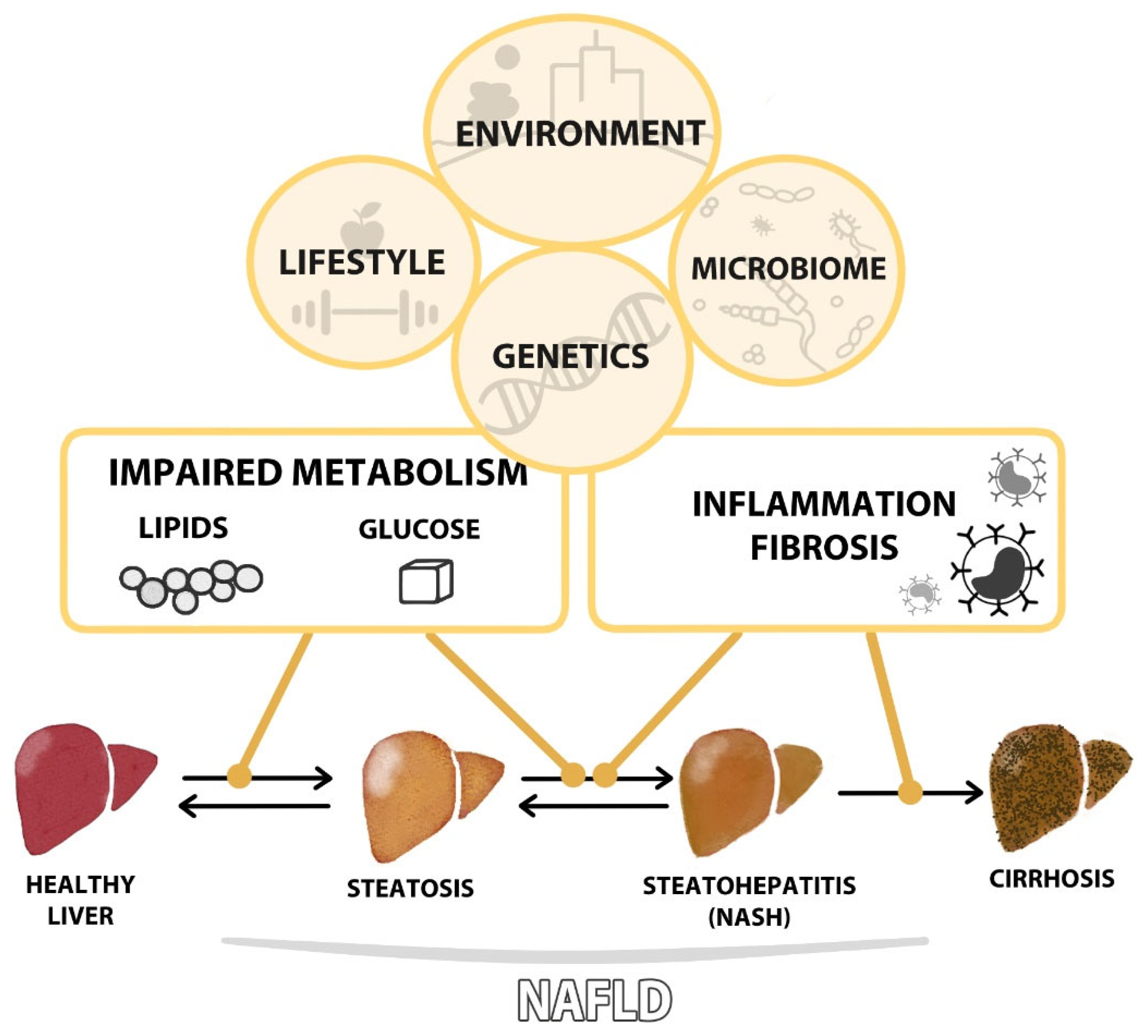 Ijms 24 10718 g001 Ijms 24 10718 g001