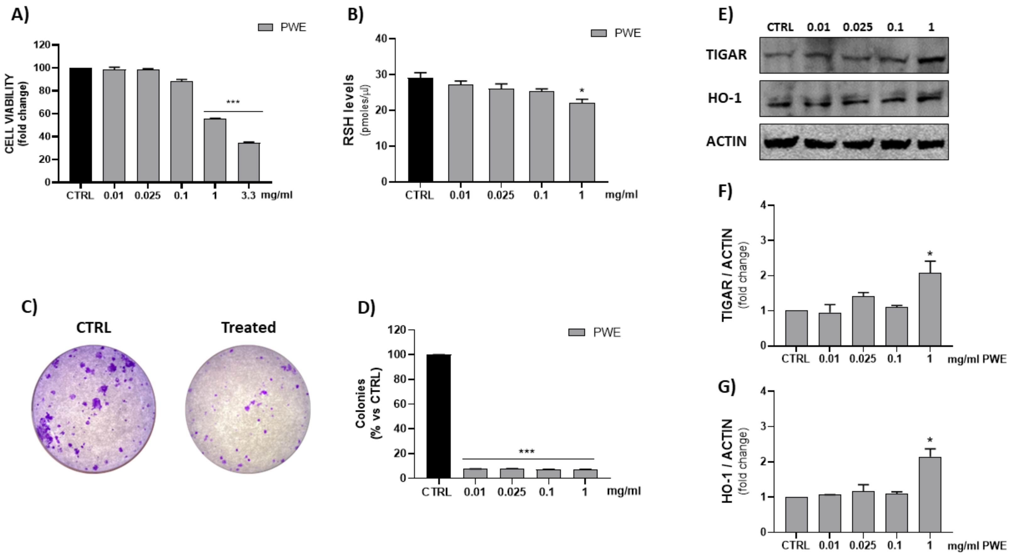 Ijms 24 10719 g003 Ijms 24 10719 g003