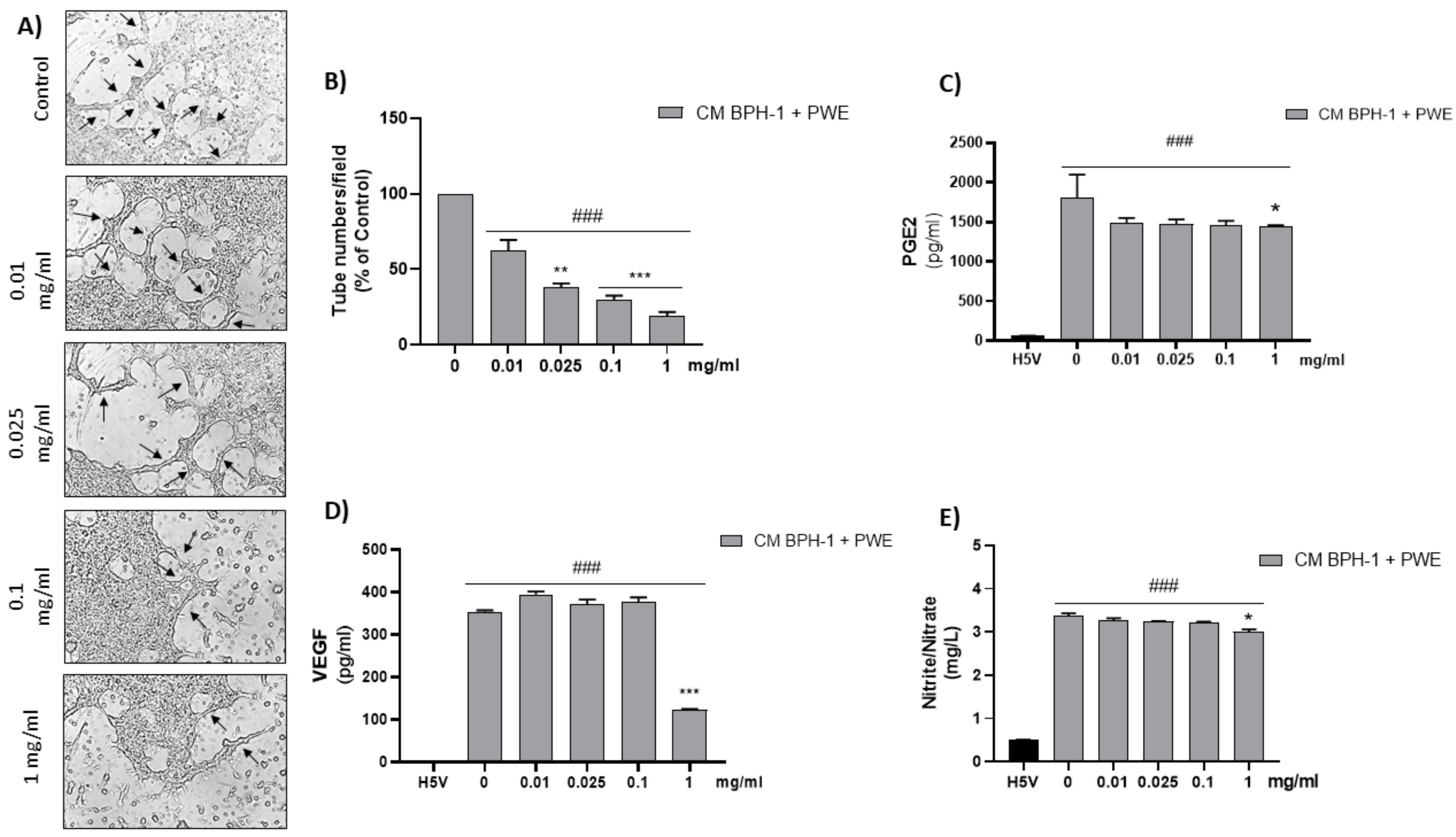 Ijms 24 10719 g007 Ijms 24 10719 g007