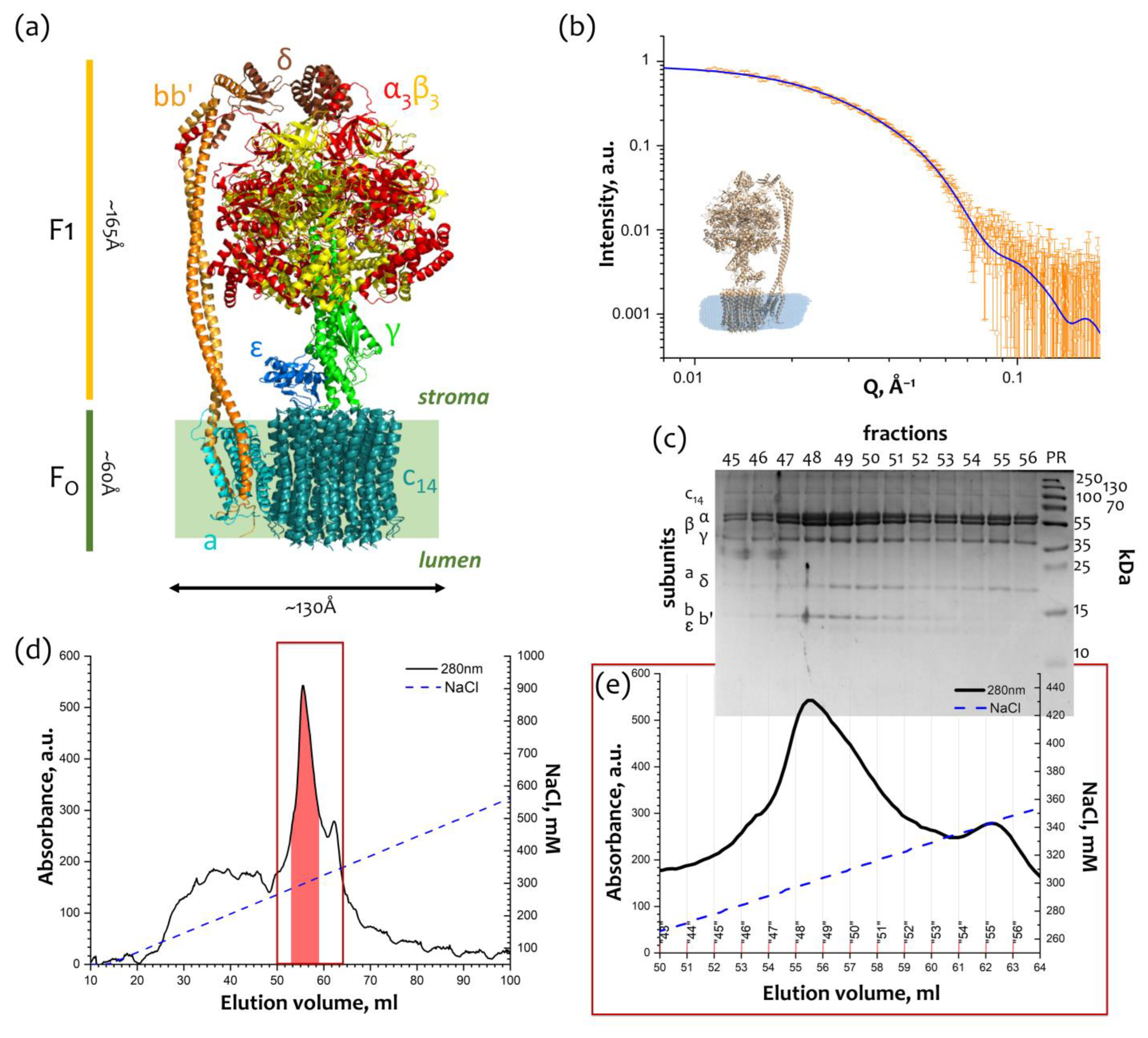Ijms 24 10720 g001 Ijms 24 10720 g001