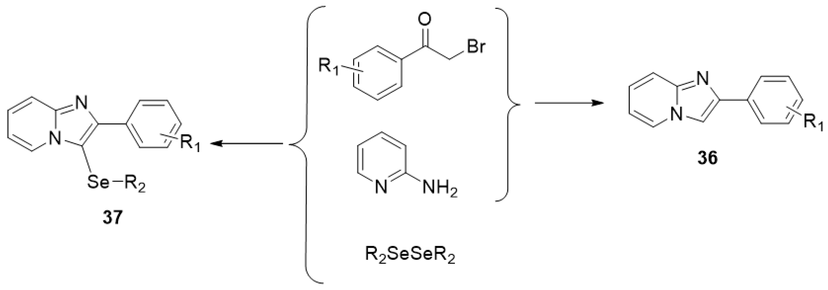 Ijms 24 10722 sch025 Ijms 24 10722 sch025