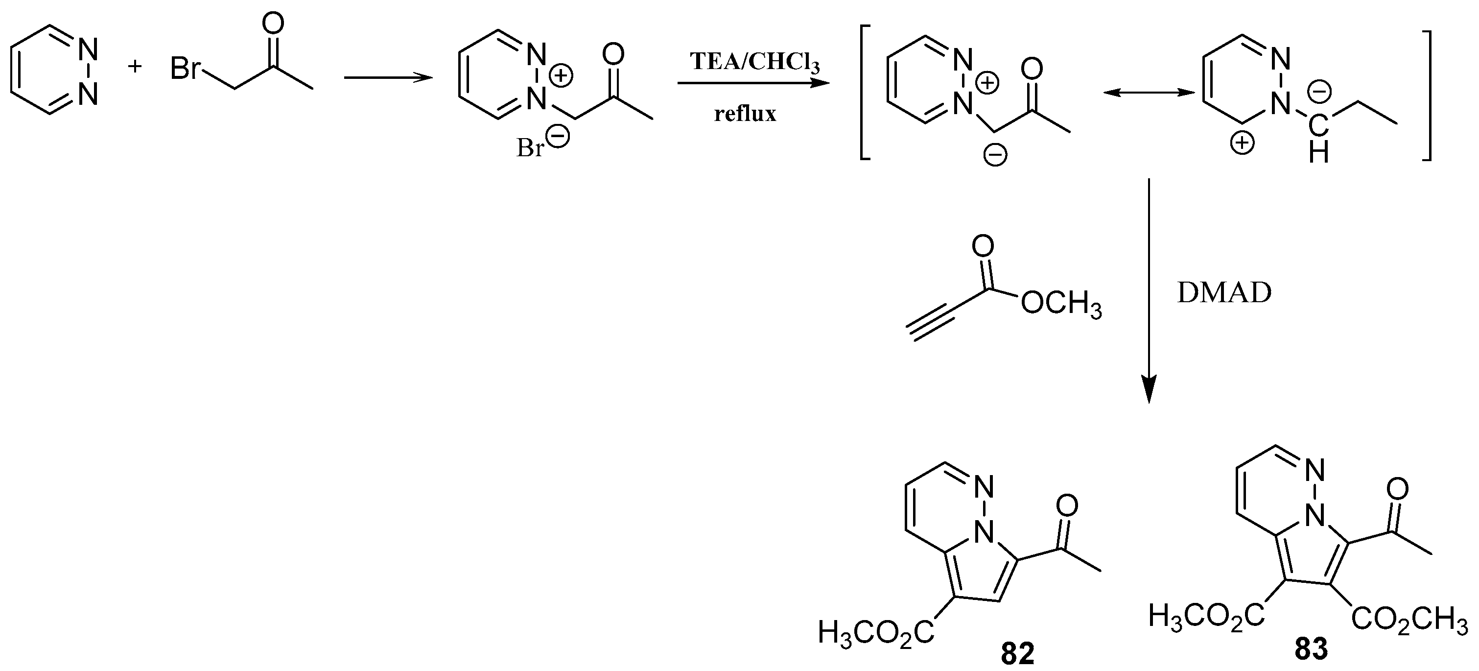 Ijms 24 10722 sch065 Ijms 24 10722 sch065
