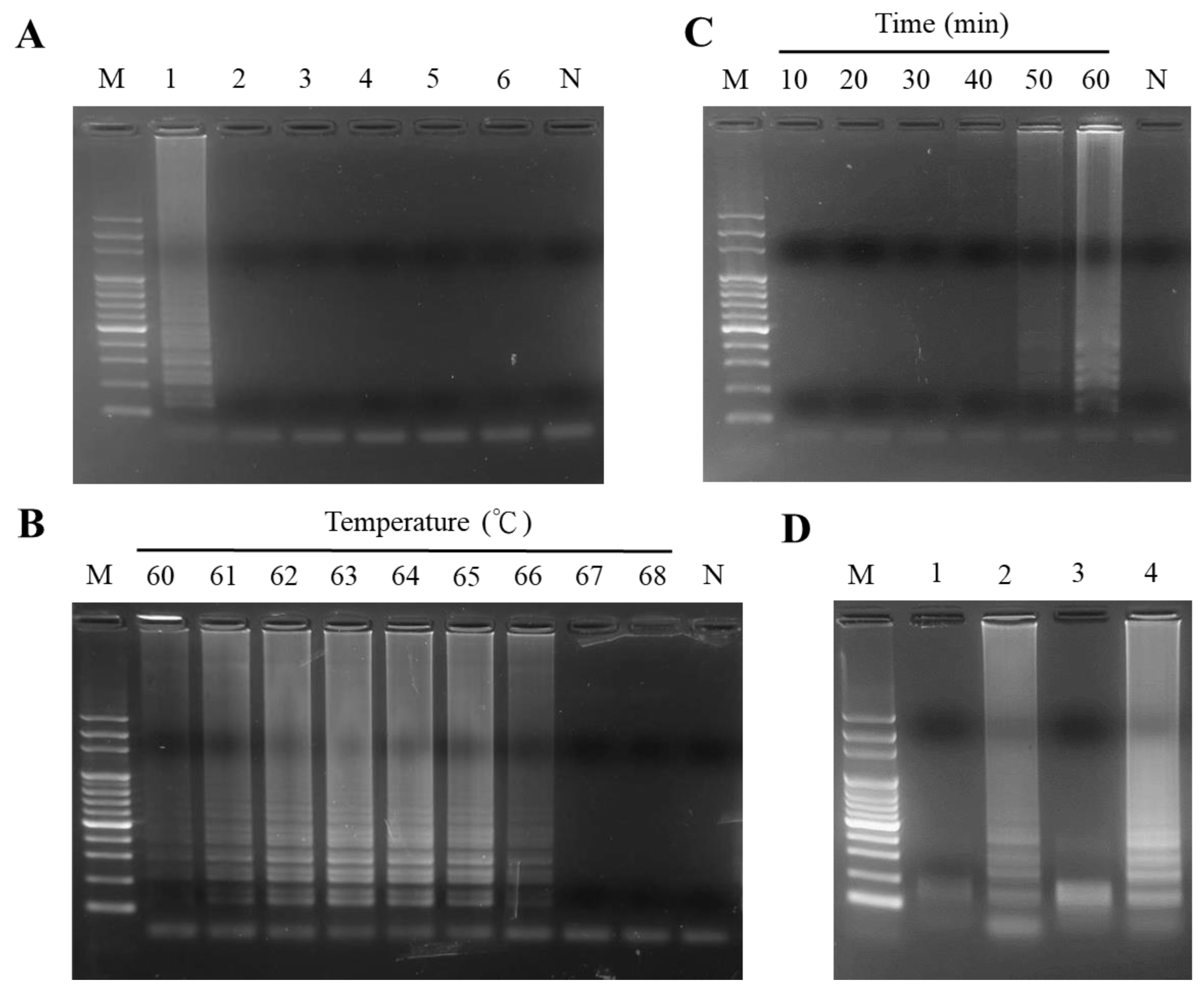 Ijms 24 10730 g002 Ijms 24 10730 g002