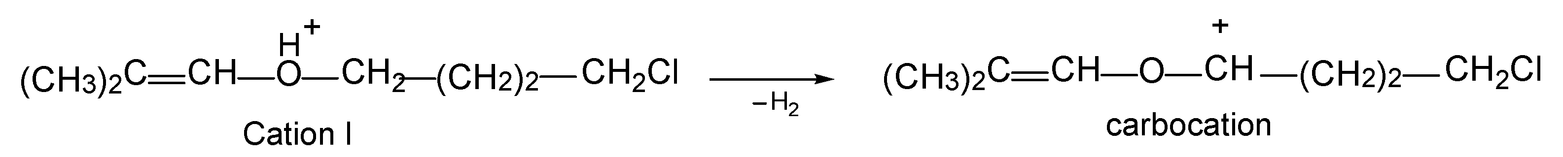 Ijms 24 10734 sch004