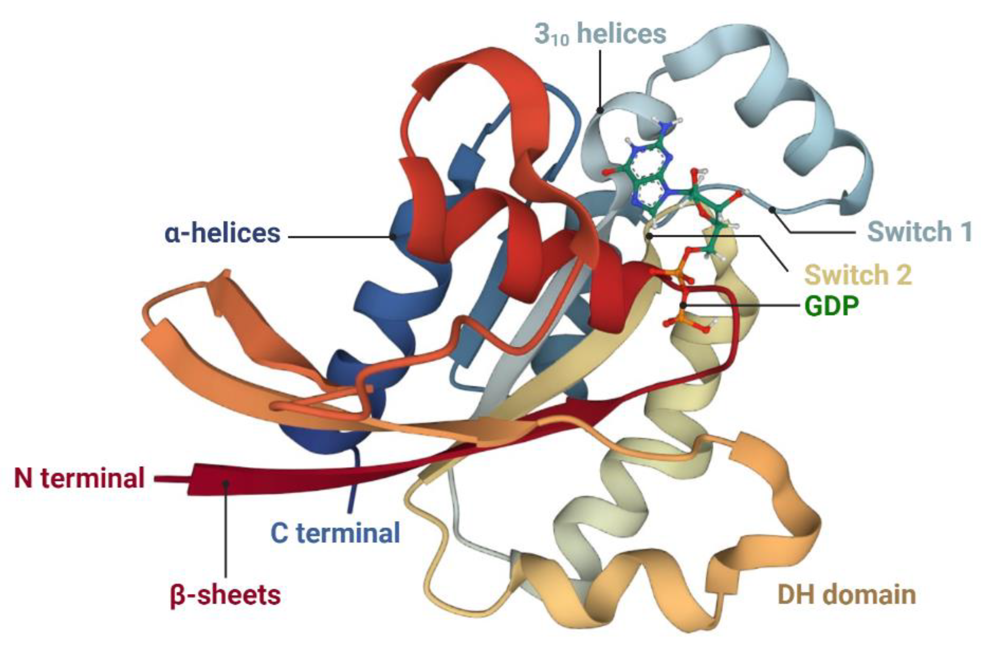 Ijms 24 10736 g002 Ijms 24 10736 g002