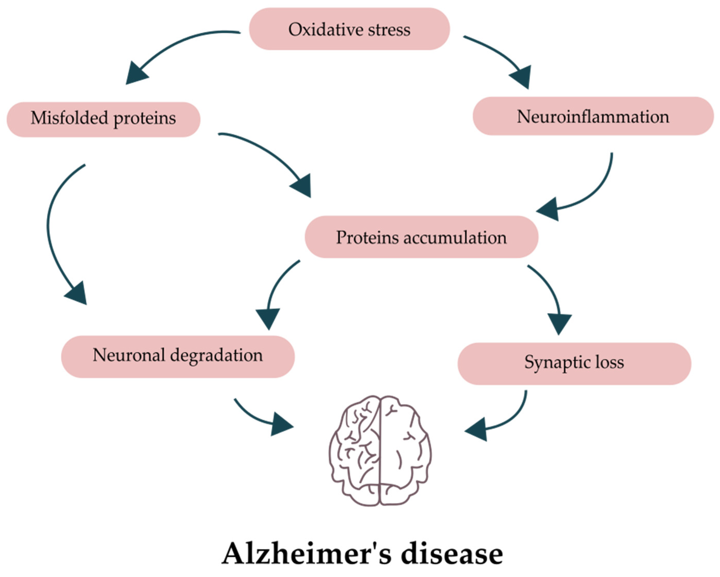 alzheimer's society cycle challenge