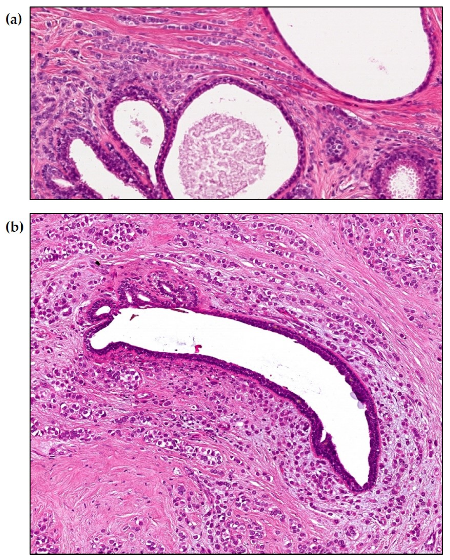 Ijms 24 10752 g001 Ijms 24 10752 g001