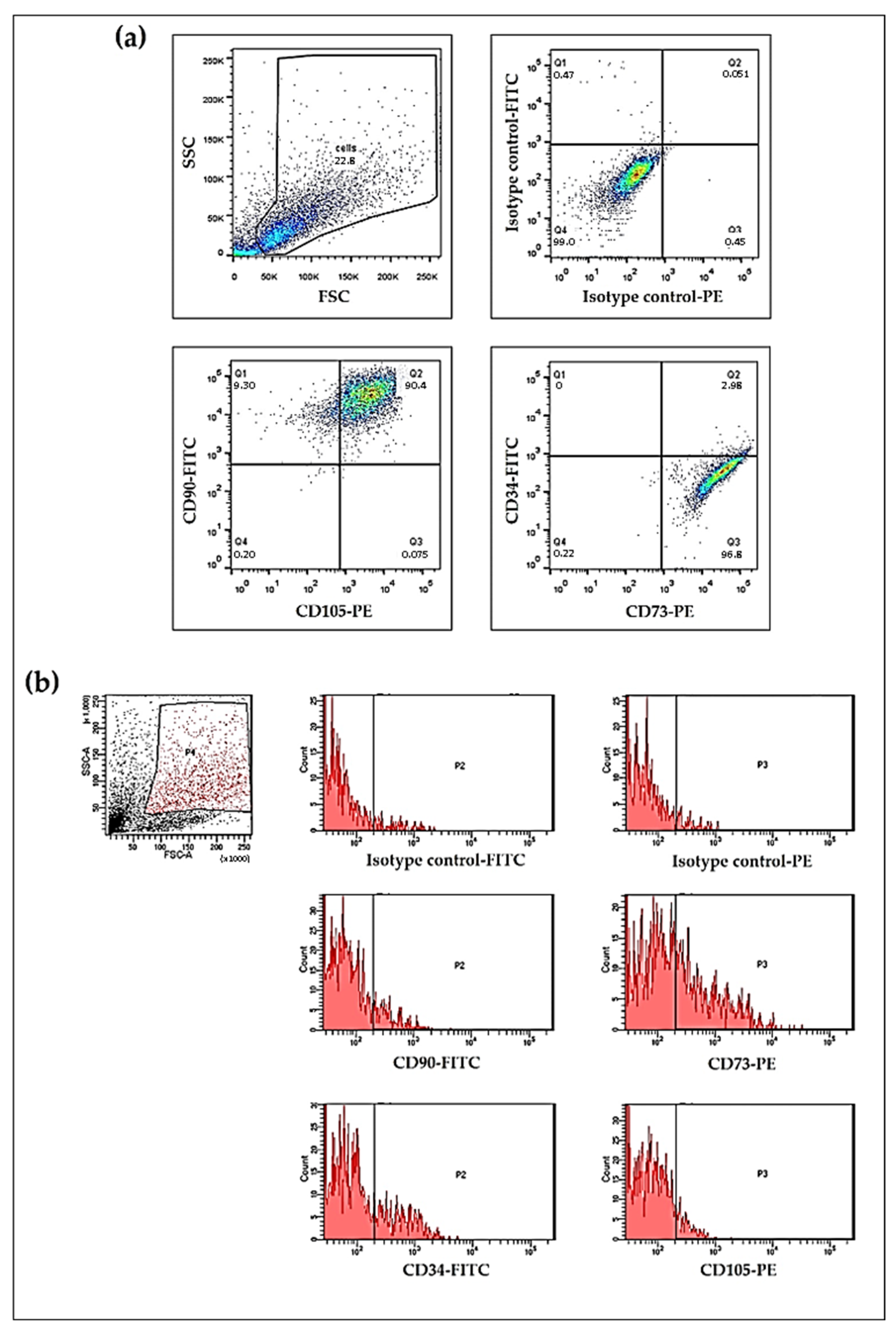 Ijms 24 10752 g004 Ijms 24 10752 g004