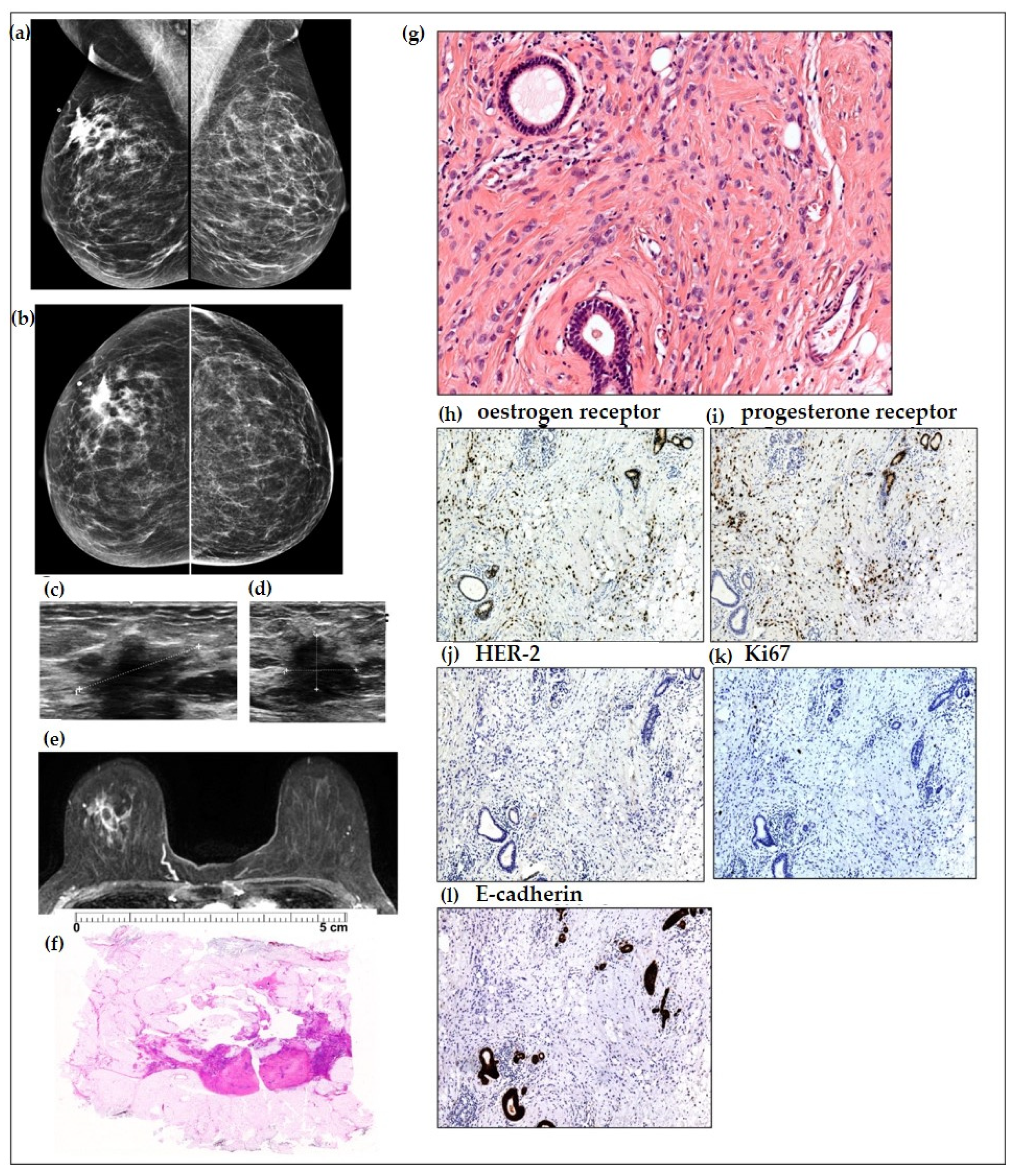 Ijms 24 10752 g0a1 Ijms 24 10752 g0a1