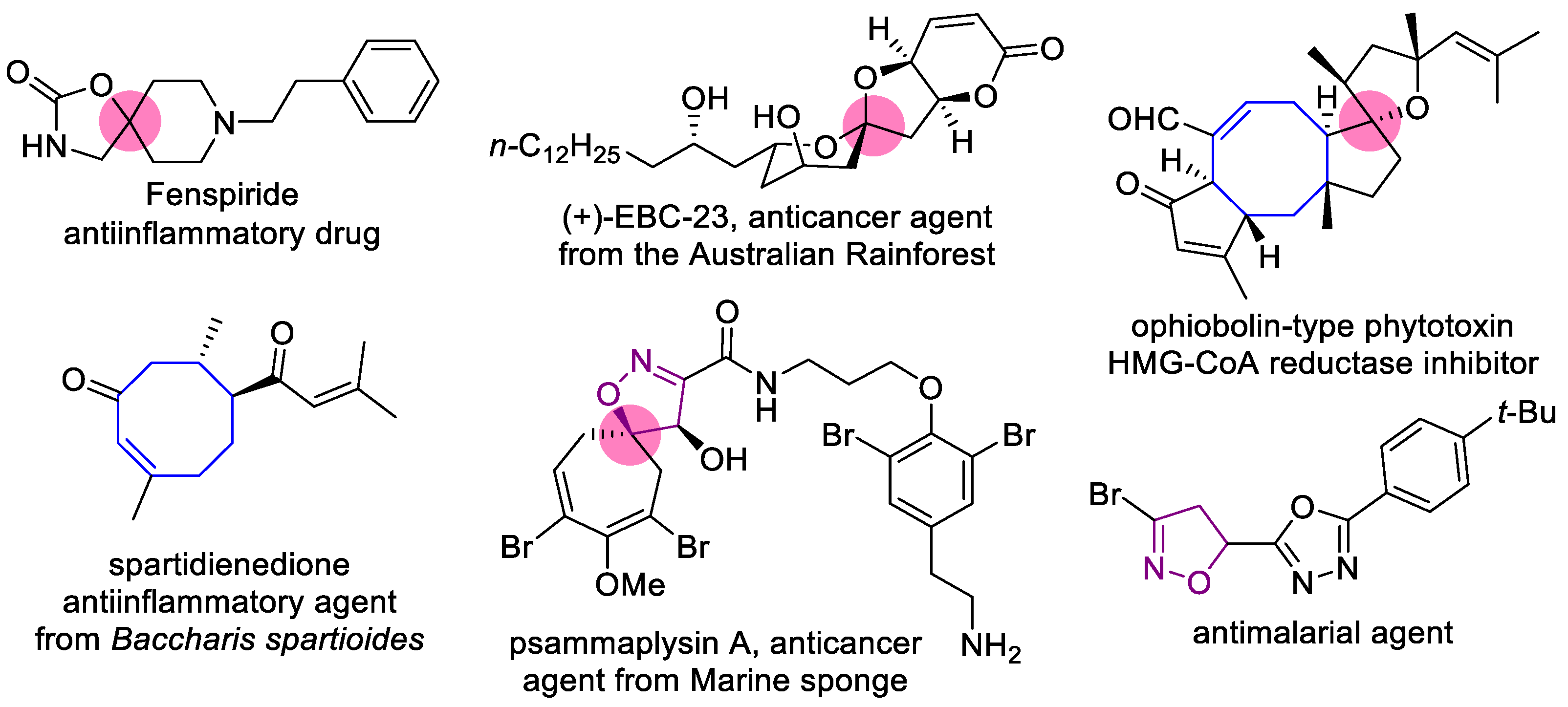Ijms 24 10758 g001 Ijms 24 10758 g001