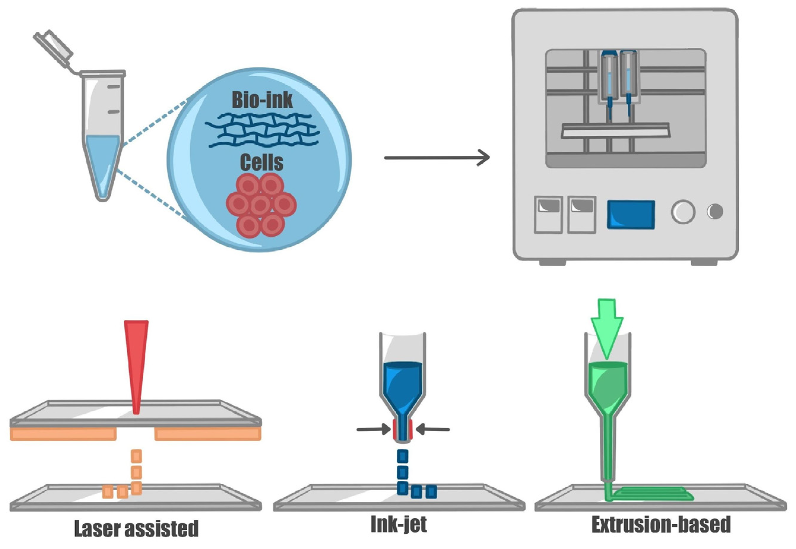 Ijms 24 10762 g003 Ijms 24 10762 g003